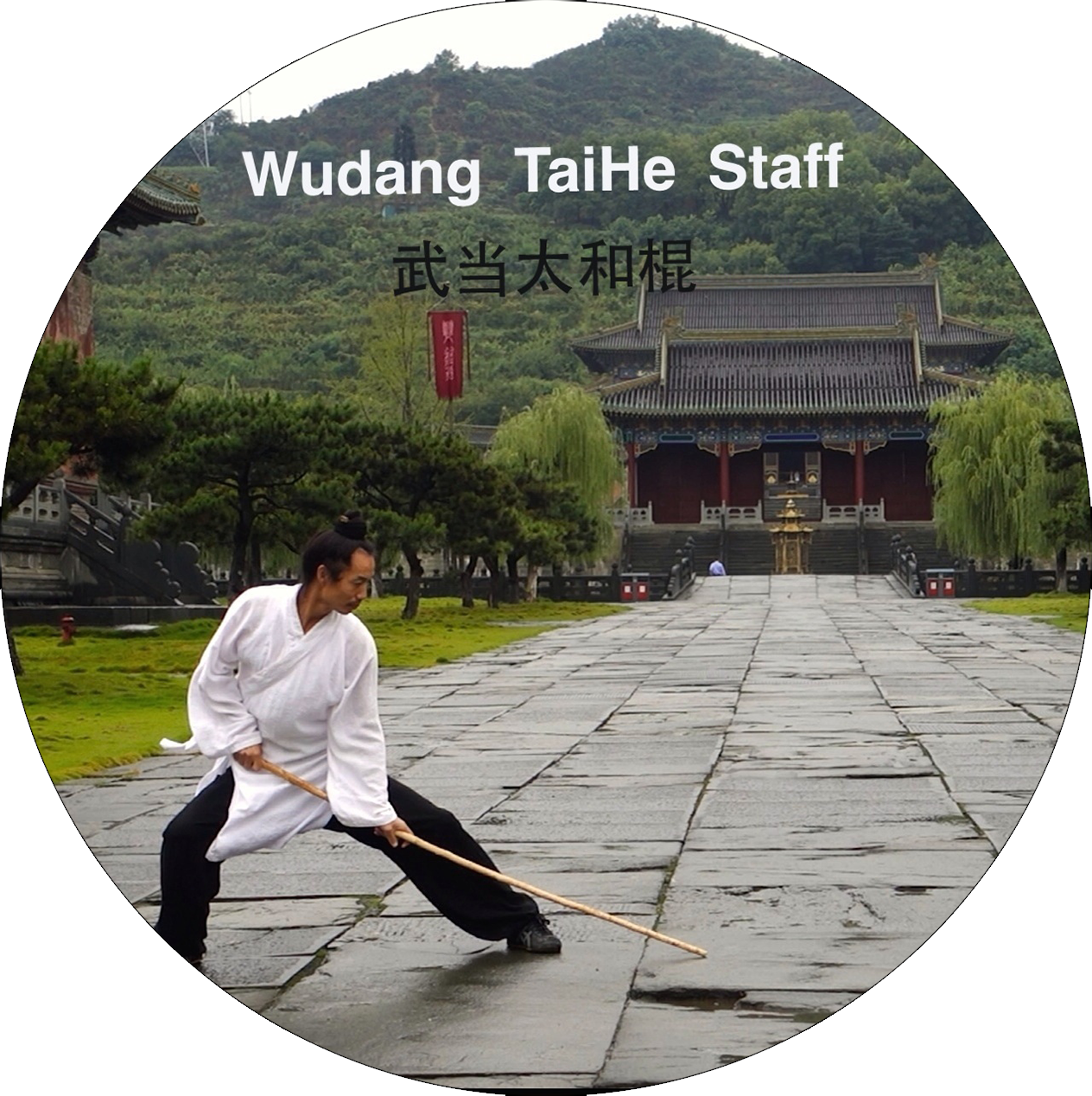 TaiHe Gun.png