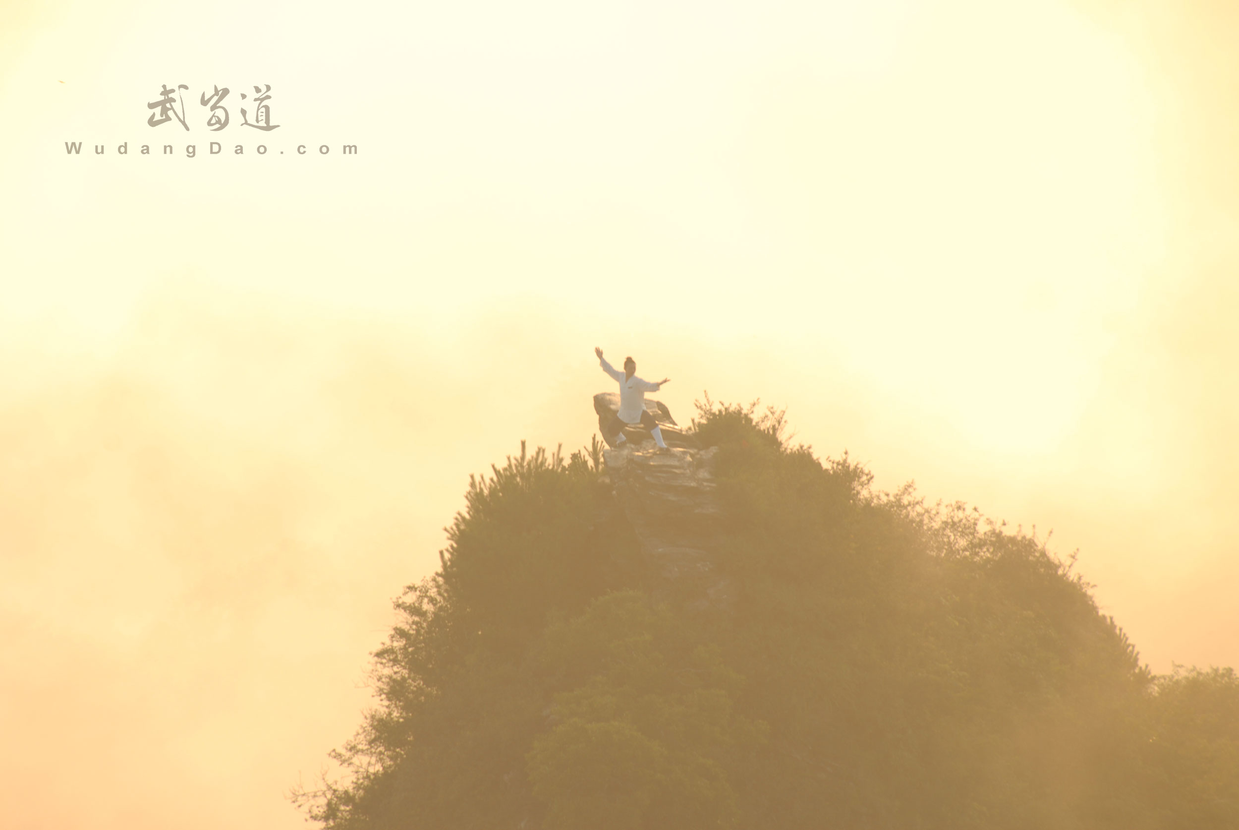 Wudang JinDing, Golden Summit