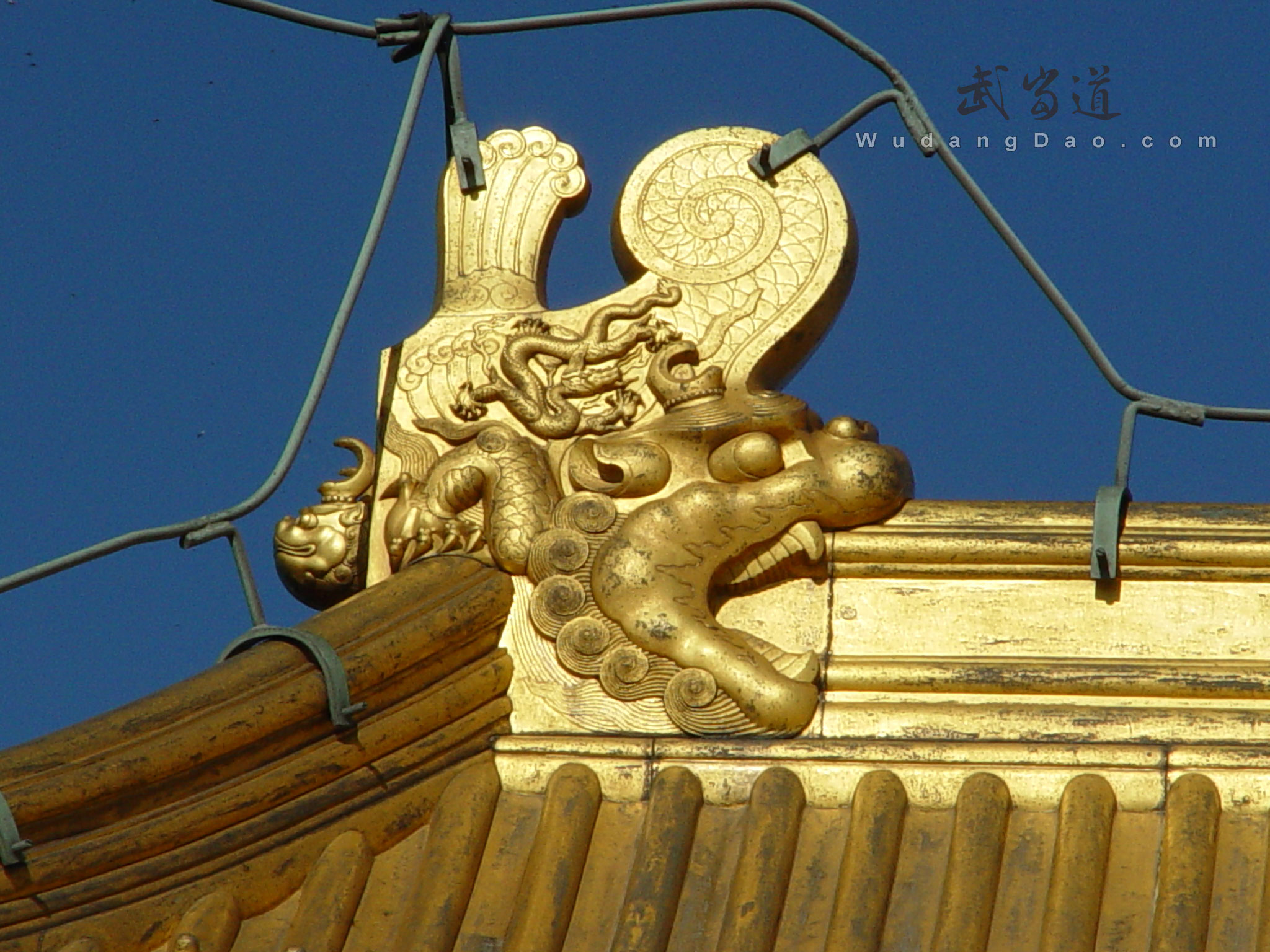 Wudang JinDing, Golden Summit