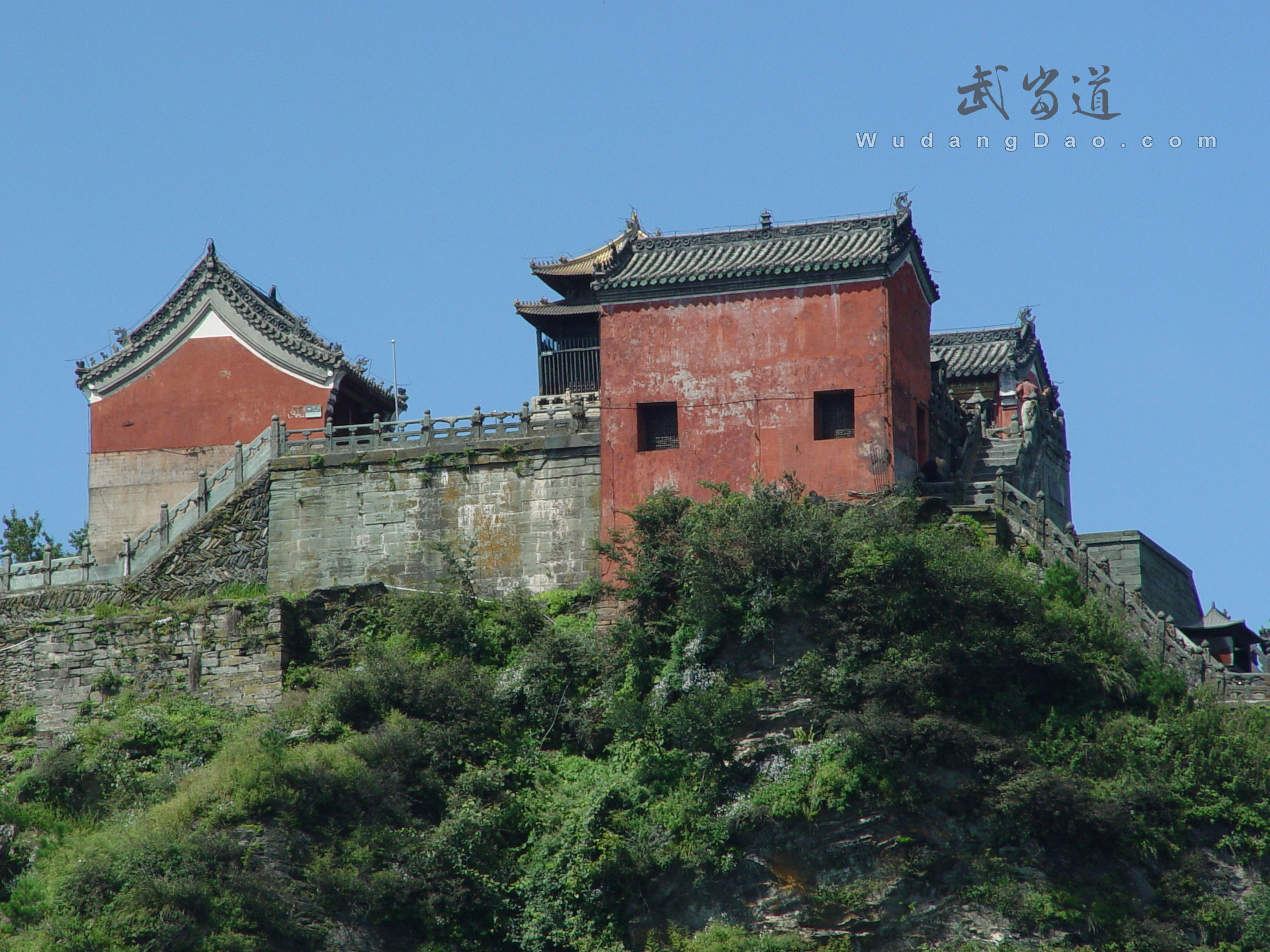 Wudang JinDing, Golden Summit