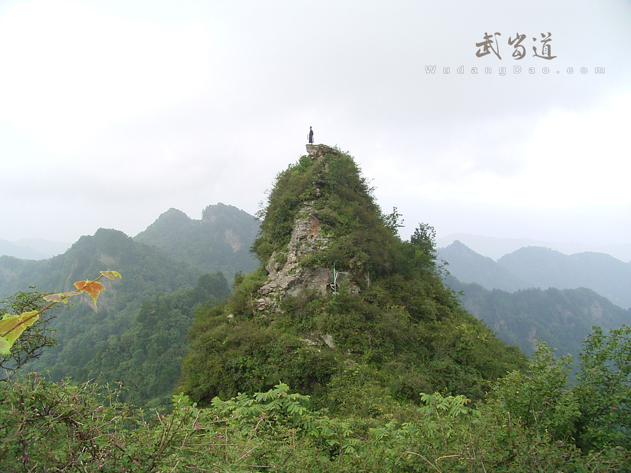 Wudang JinDing, Golden Summit