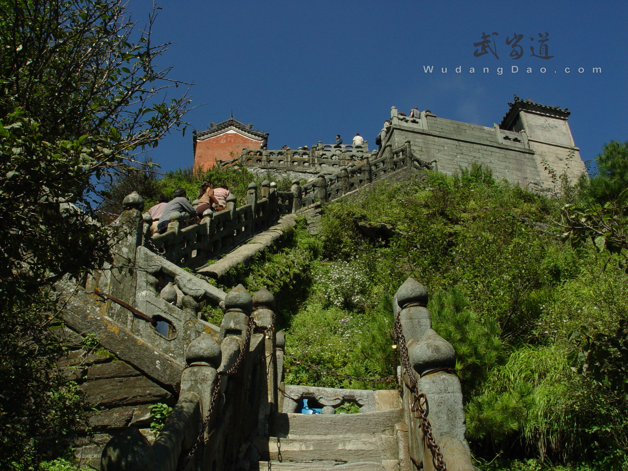 Wudang JinDing, Golden Summit