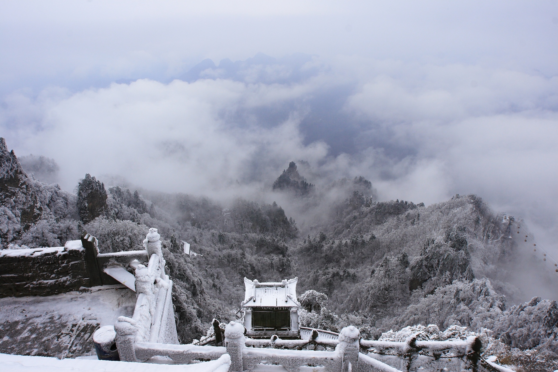 Wudang JinDing, Golden Summit