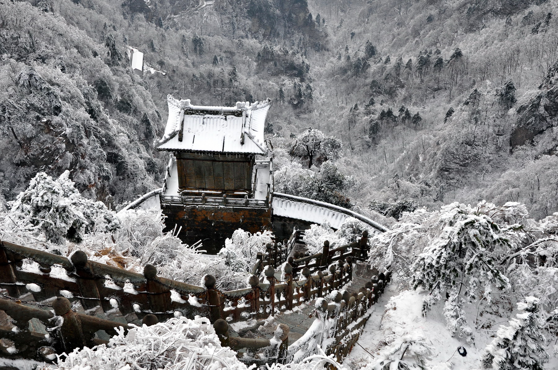 Wudang JinDing, Golden Summit