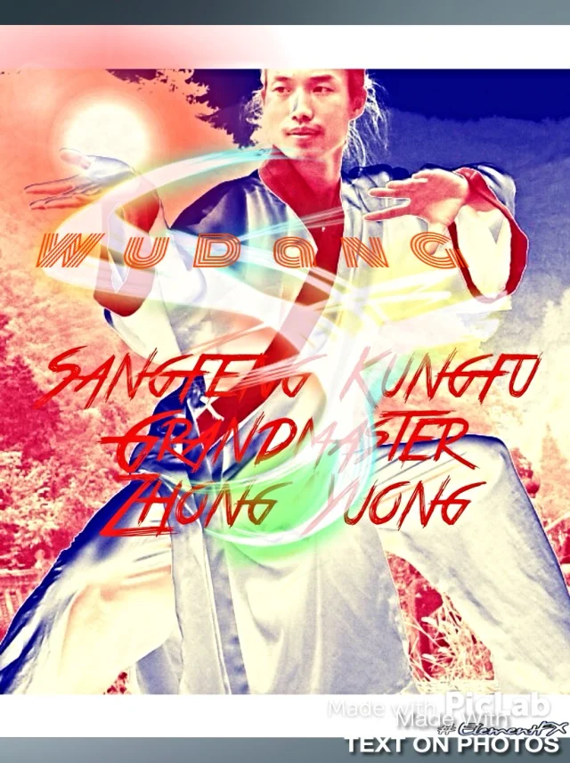 Disney Land Martlal Arts Festlval Seminar. March 27, 2009