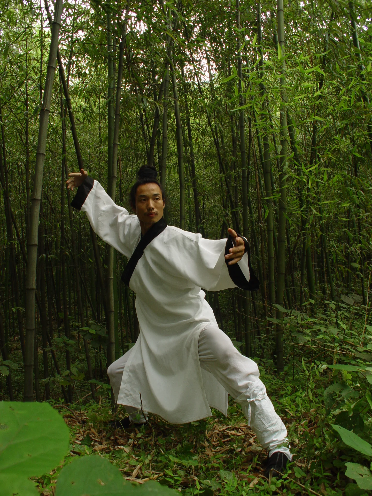Wudang TaiChi for Health and Longevity Retreat 2017 