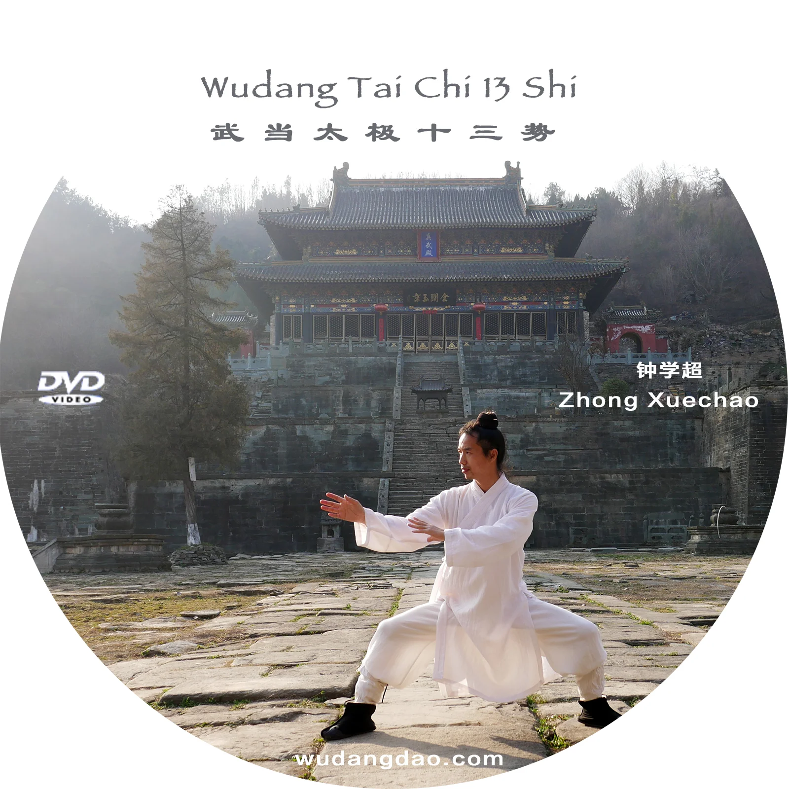 Wudang Tai Chi 13 Shi DVD