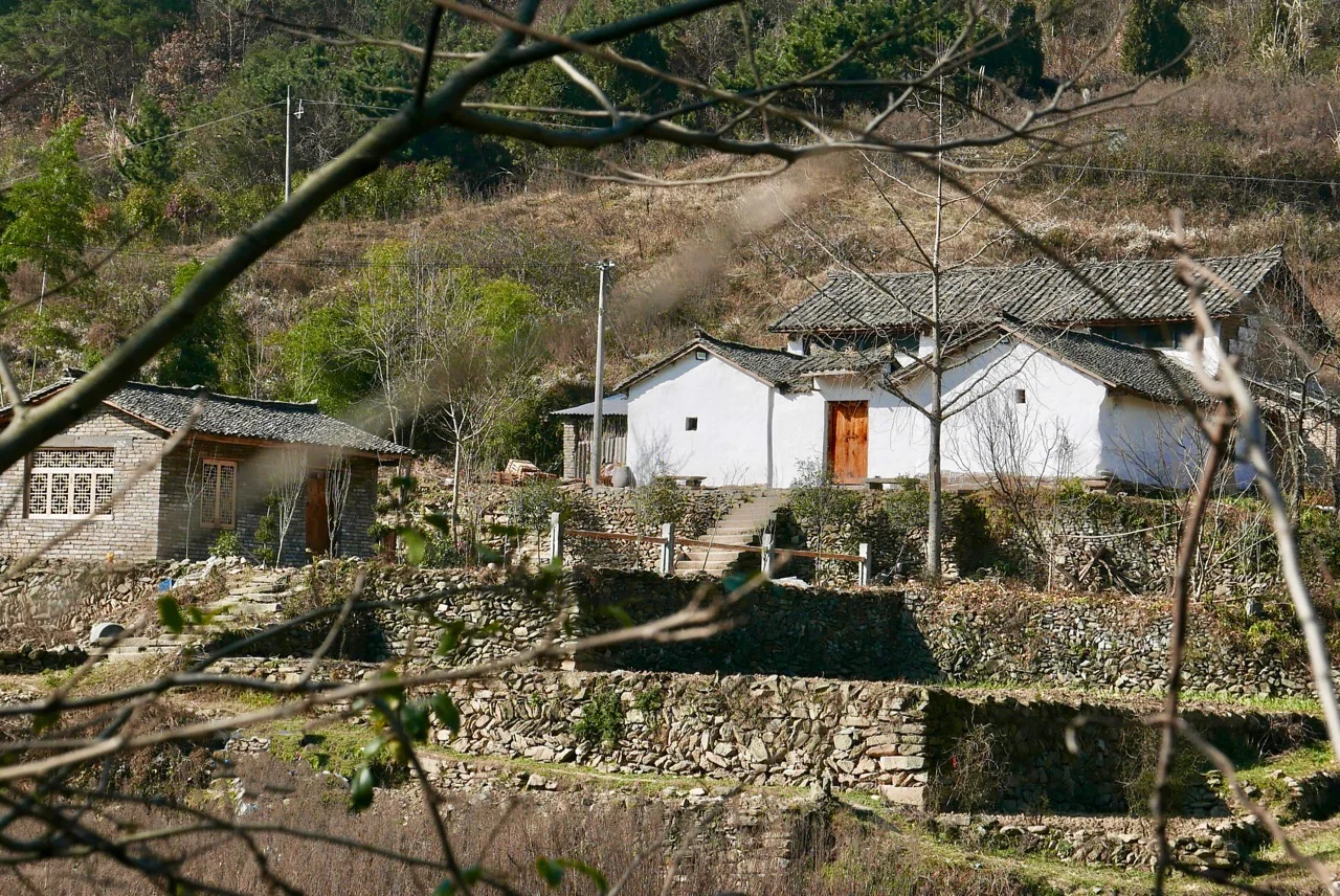 P1100007.jpg
