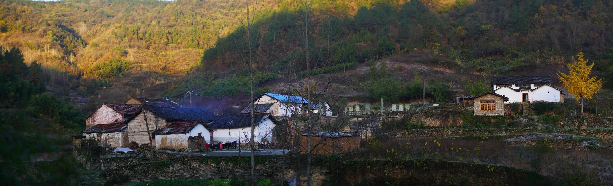 P1110322.jpg