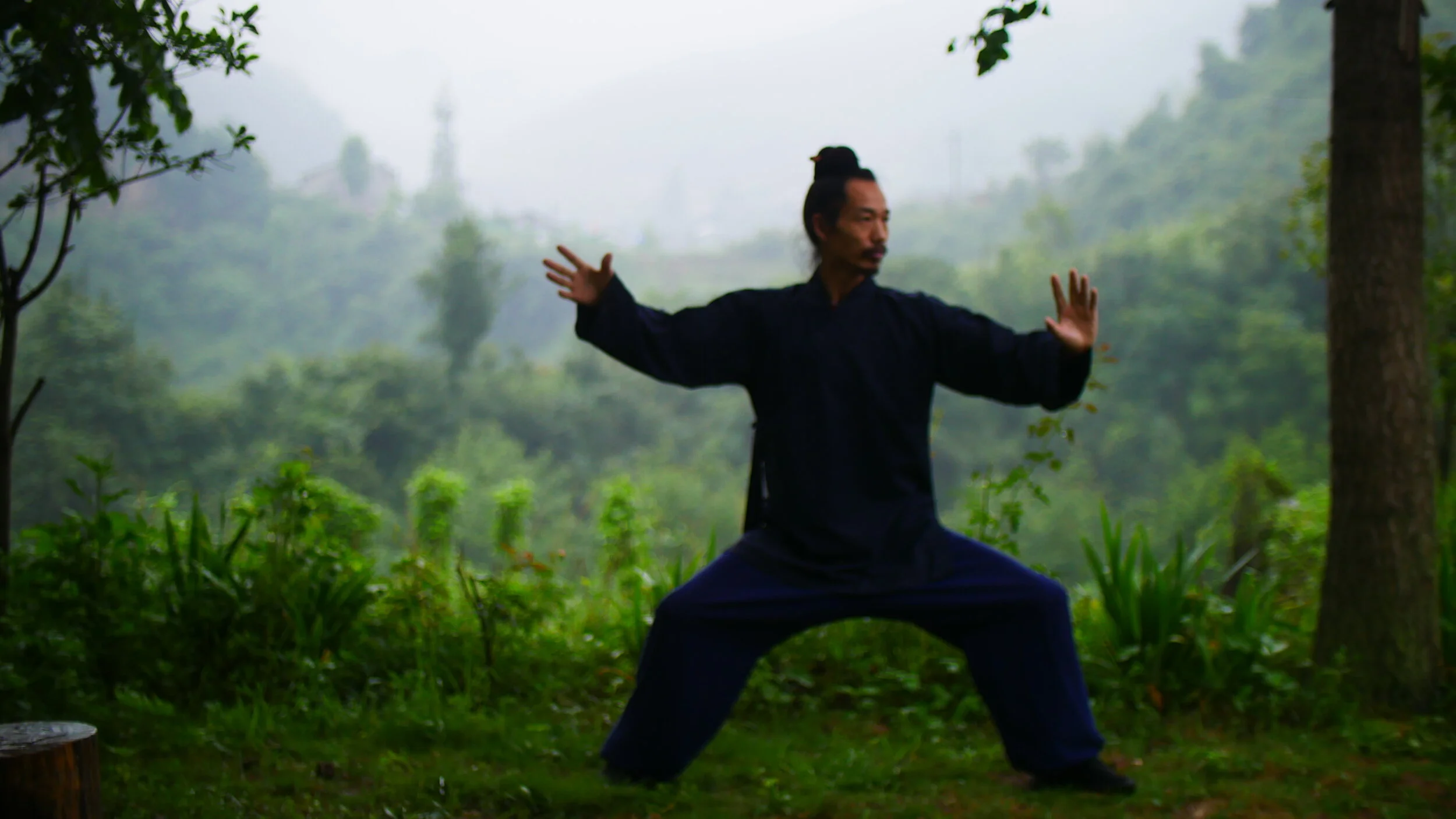 Wudang master.JPG