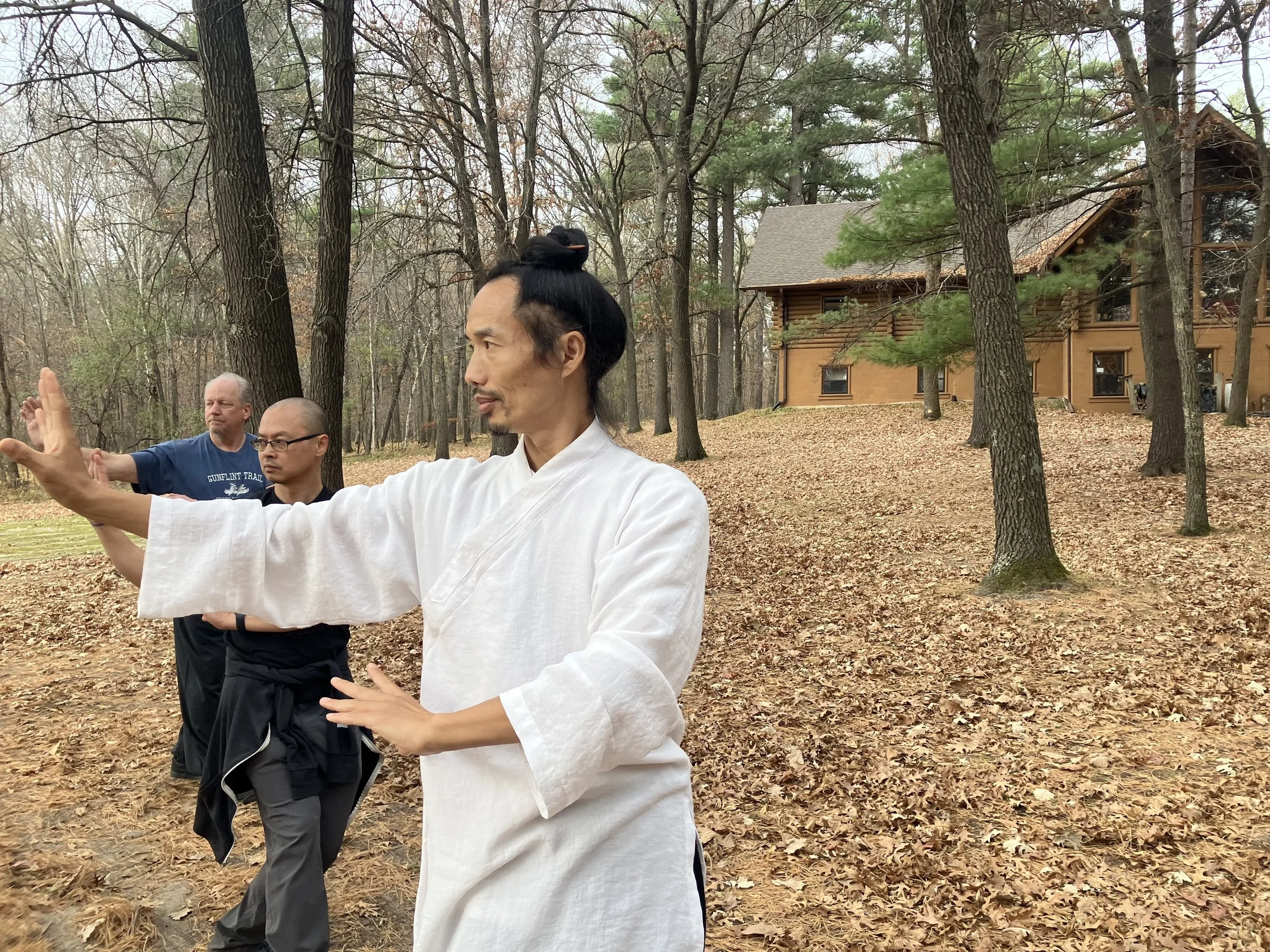Wudang XinYi, and Bagua, basics. Applications. With Master Bing, Kansas