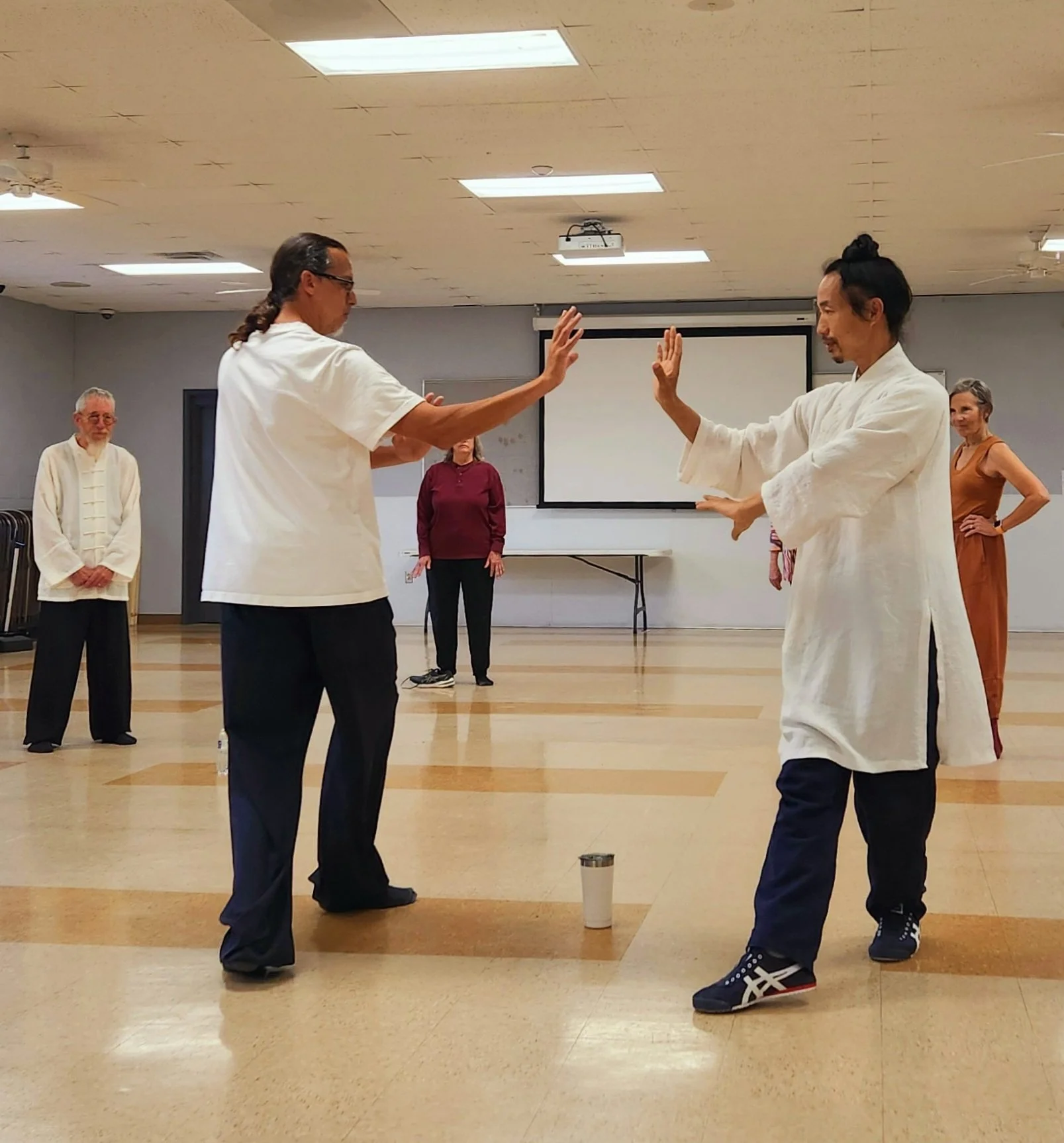 Wudang Taiji, Qigong workshops in Eureka Springs, AR, Mar 20 - 23, 2026.