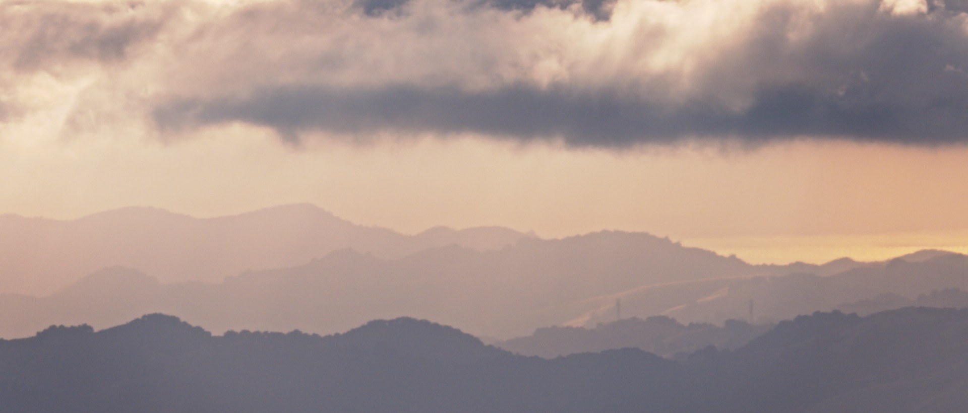 An example of the 5x zoom feature. 135L with 5x zoom