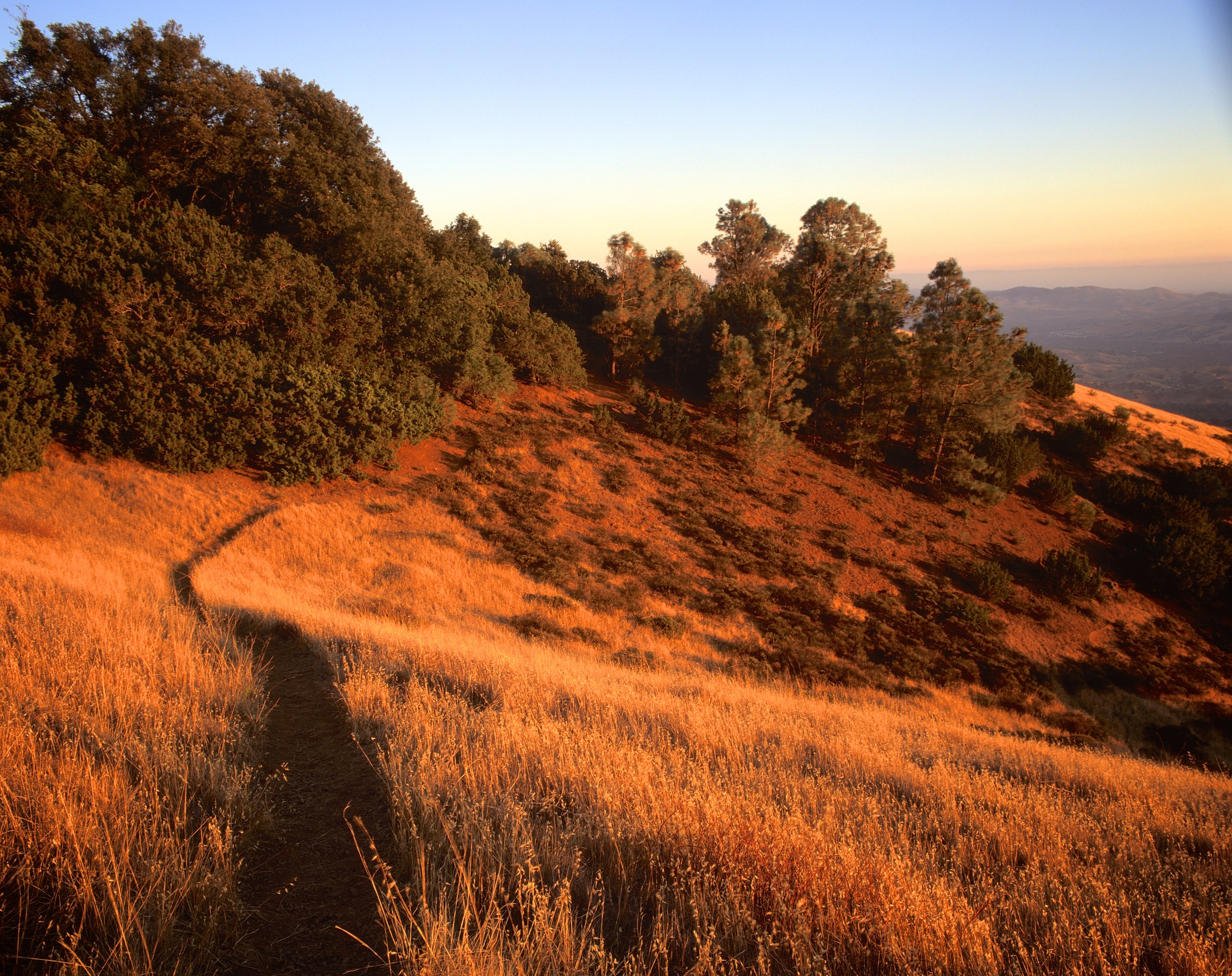 Path to Juniper Campground