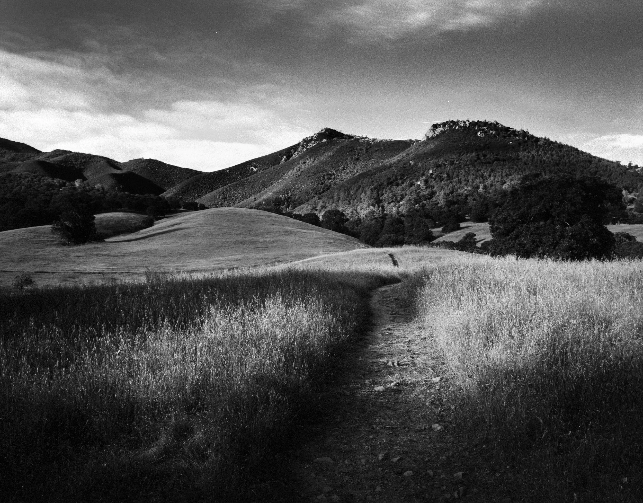 Path to Mt Zion, Mt Diablo 2011. I ditched my morning classes to take advantage of the morning light along the foothills of Mt Diablo. At this time my Pentax 6x7 was new to me and I was still learning with it. I used a deep orange filter for this shot and ended up under exposing it by ~1.5 stops but saved the shadow detail digitally after scanning the frame. 
