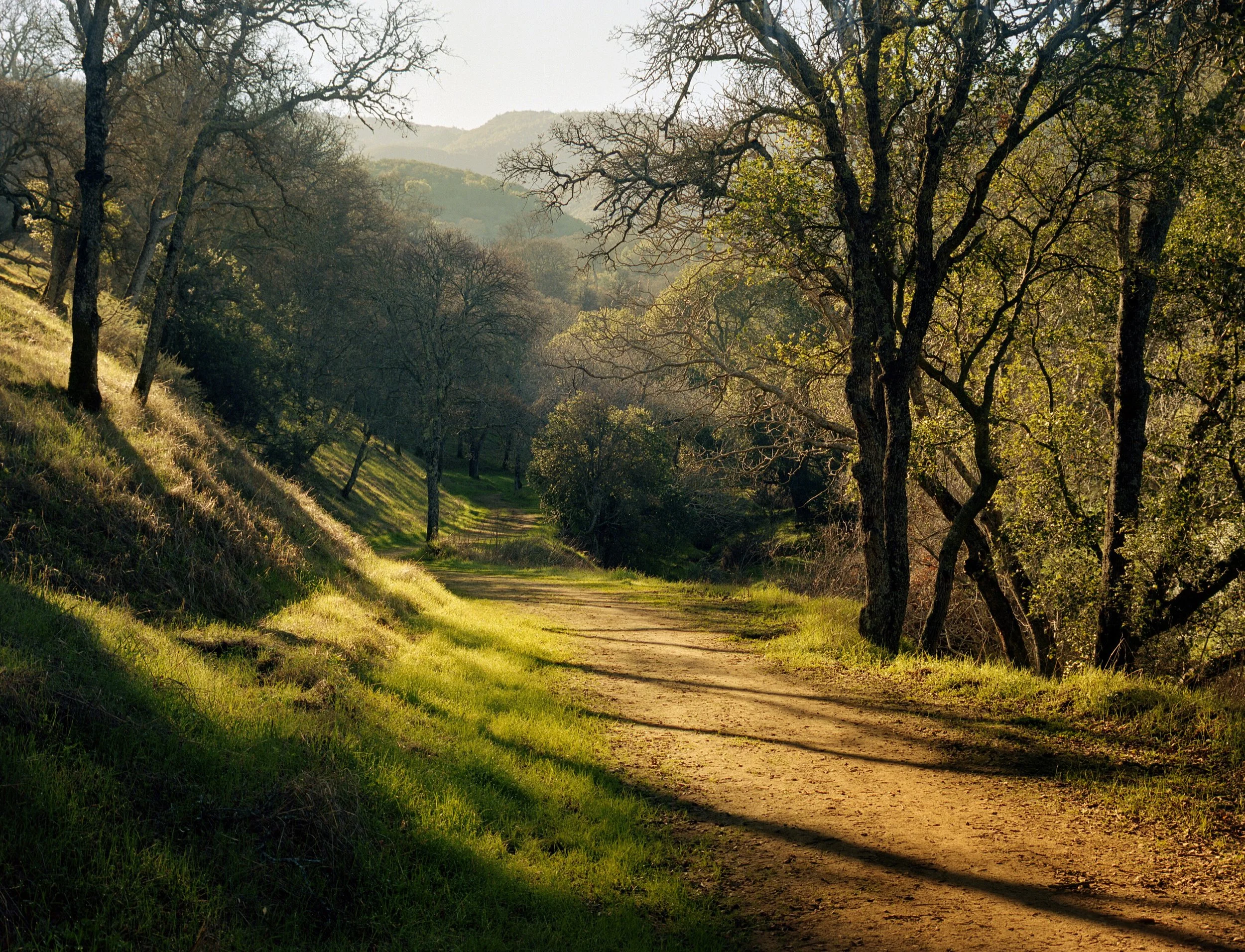 Back Creek Trail, Regency side of Mt Diablo, 2011. Bronica ETRs + 75mm f/2.8. Look at both the detail in the distant ridge and in foreground grass.