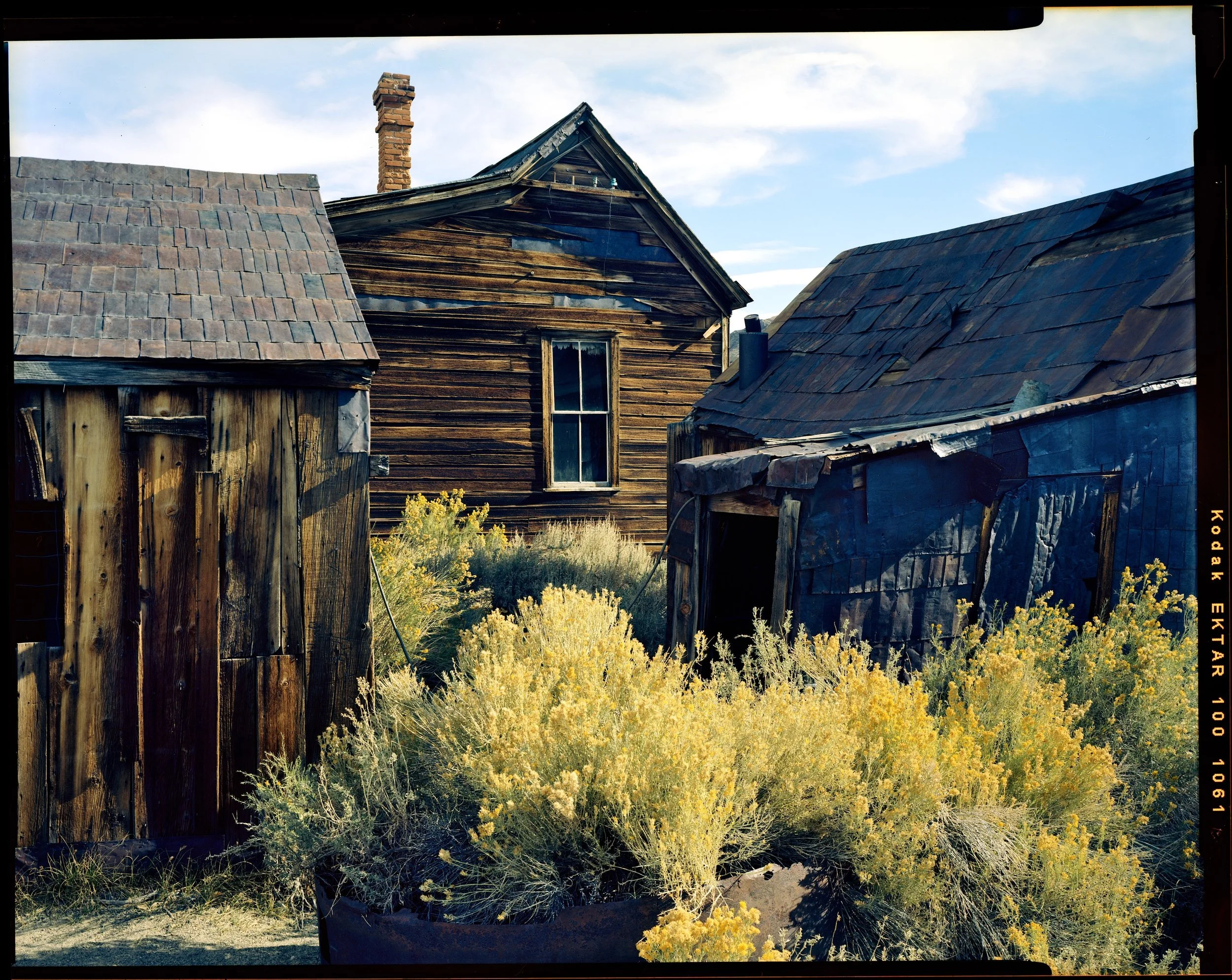 Bodie with Mustard, 2017. Nagaoka 4x5 + Fujinon 125mm f/5.6 W. I scouted the day prior and fell in love with this composition. This is a self processed frame done with a powder based kit, specifically from the first batch. The color shifting was not too bad and easily usable. Take note of the very blue shadows. If I had gone to a lab for this I am sure it would have more pop.