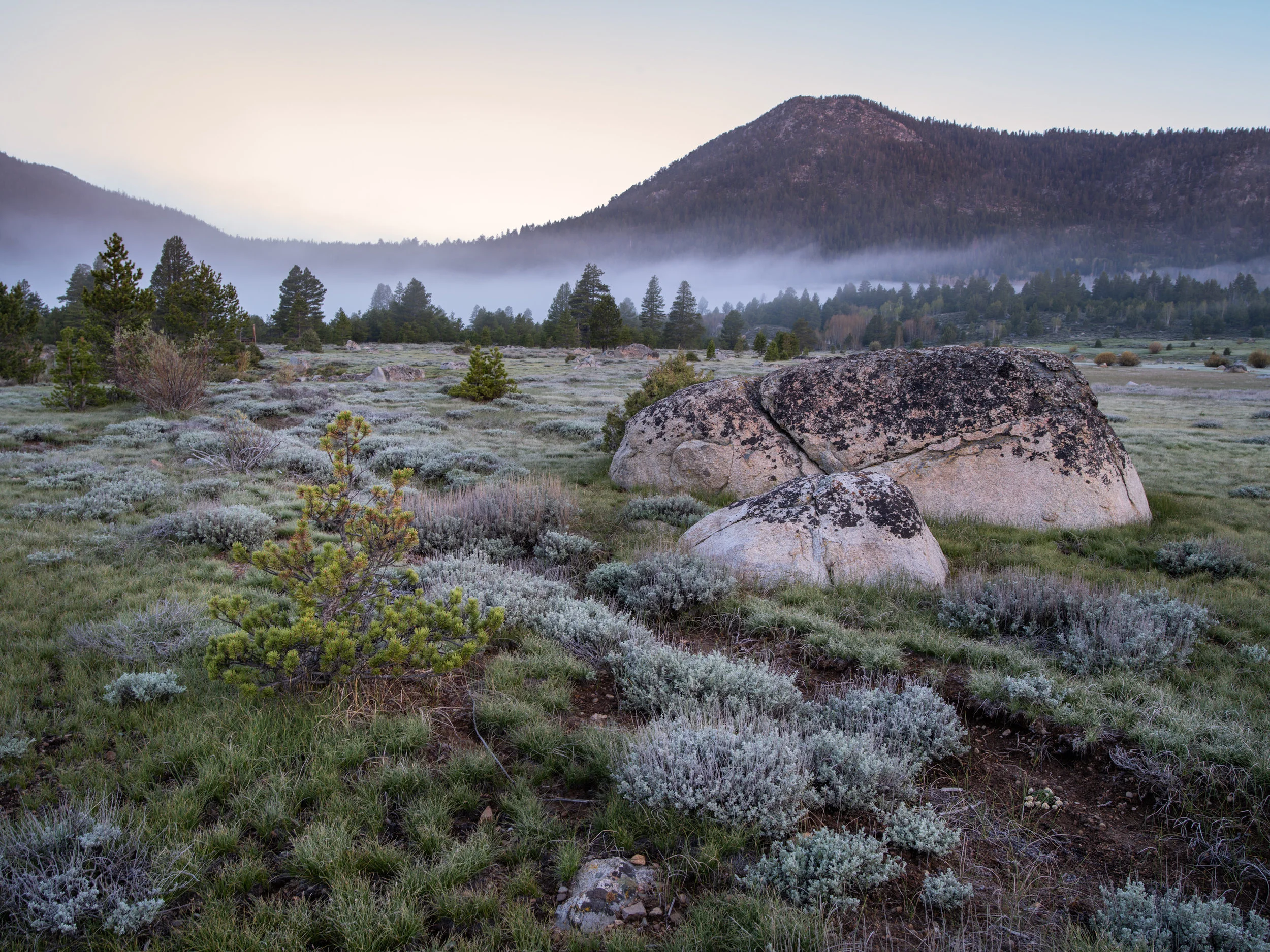 Hope Valley Dawn
