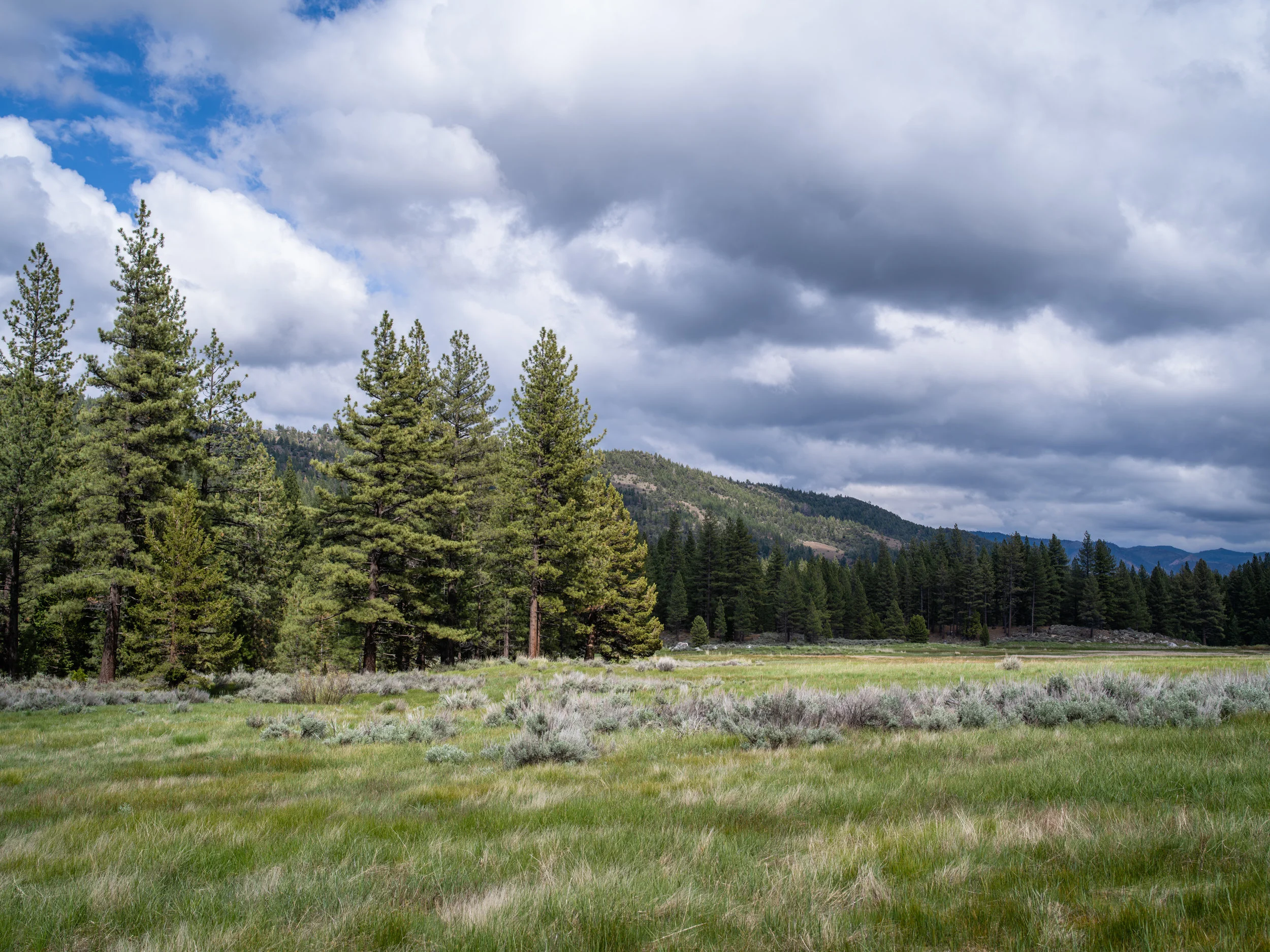 Grover Hot Springs State Park