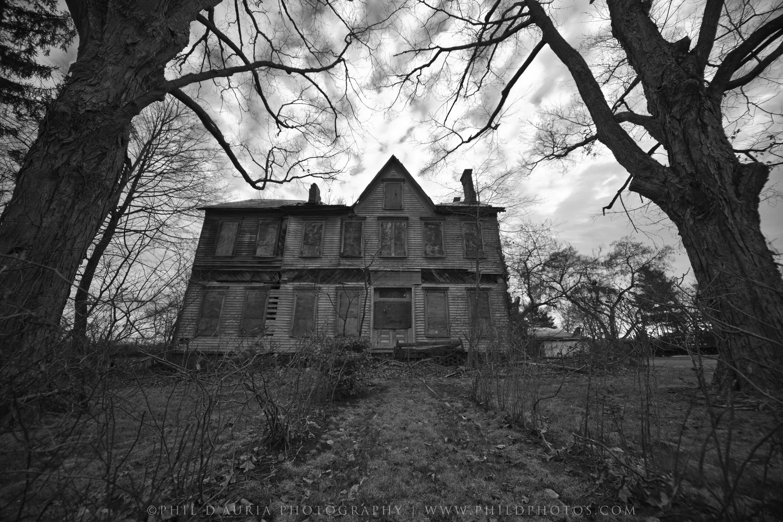 DSC_6713-Logo copy.jpg