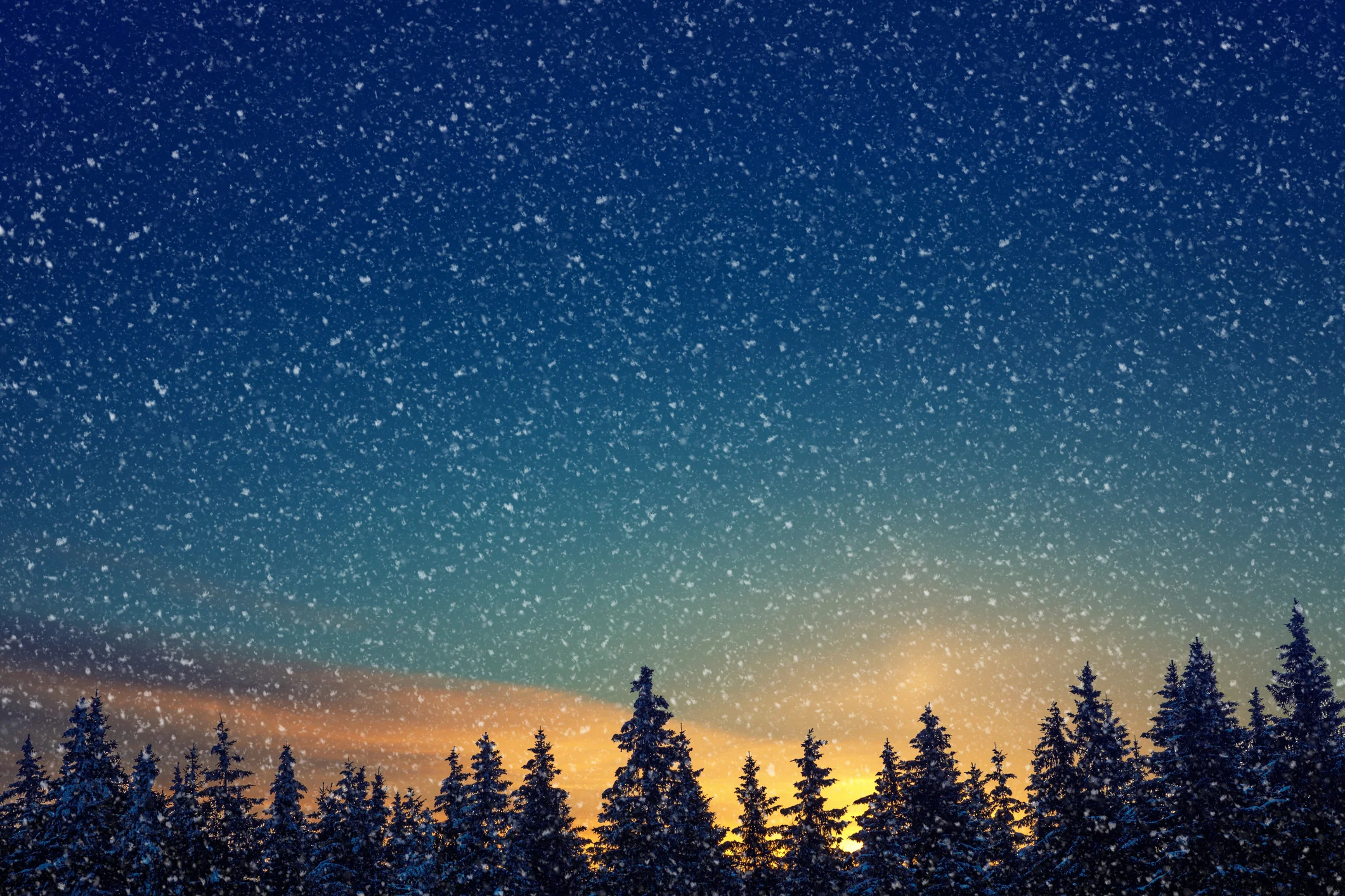 Photo by Borut Trdina/iStock / Getty Images