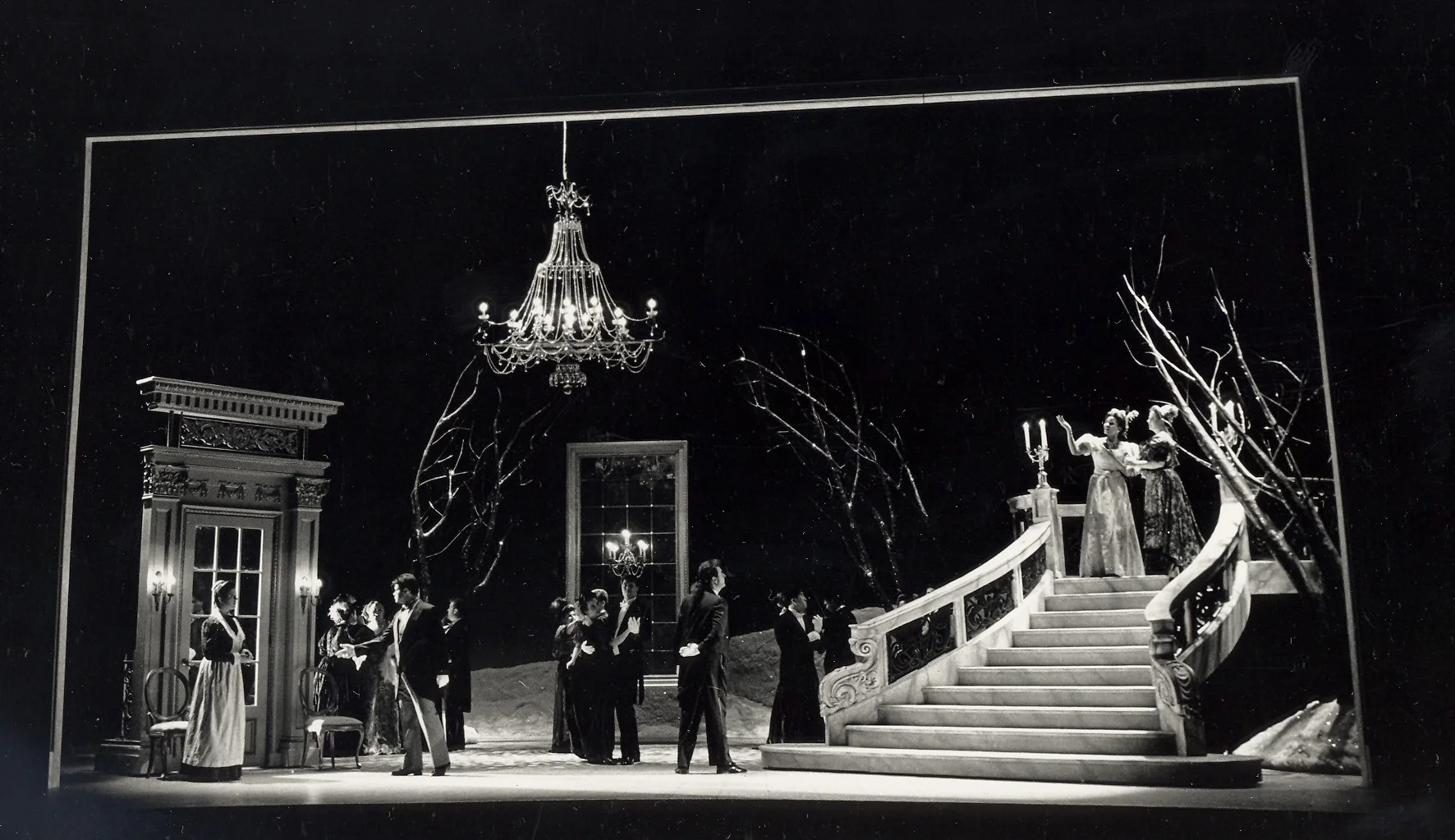 Fledermaus - 1.jpg
