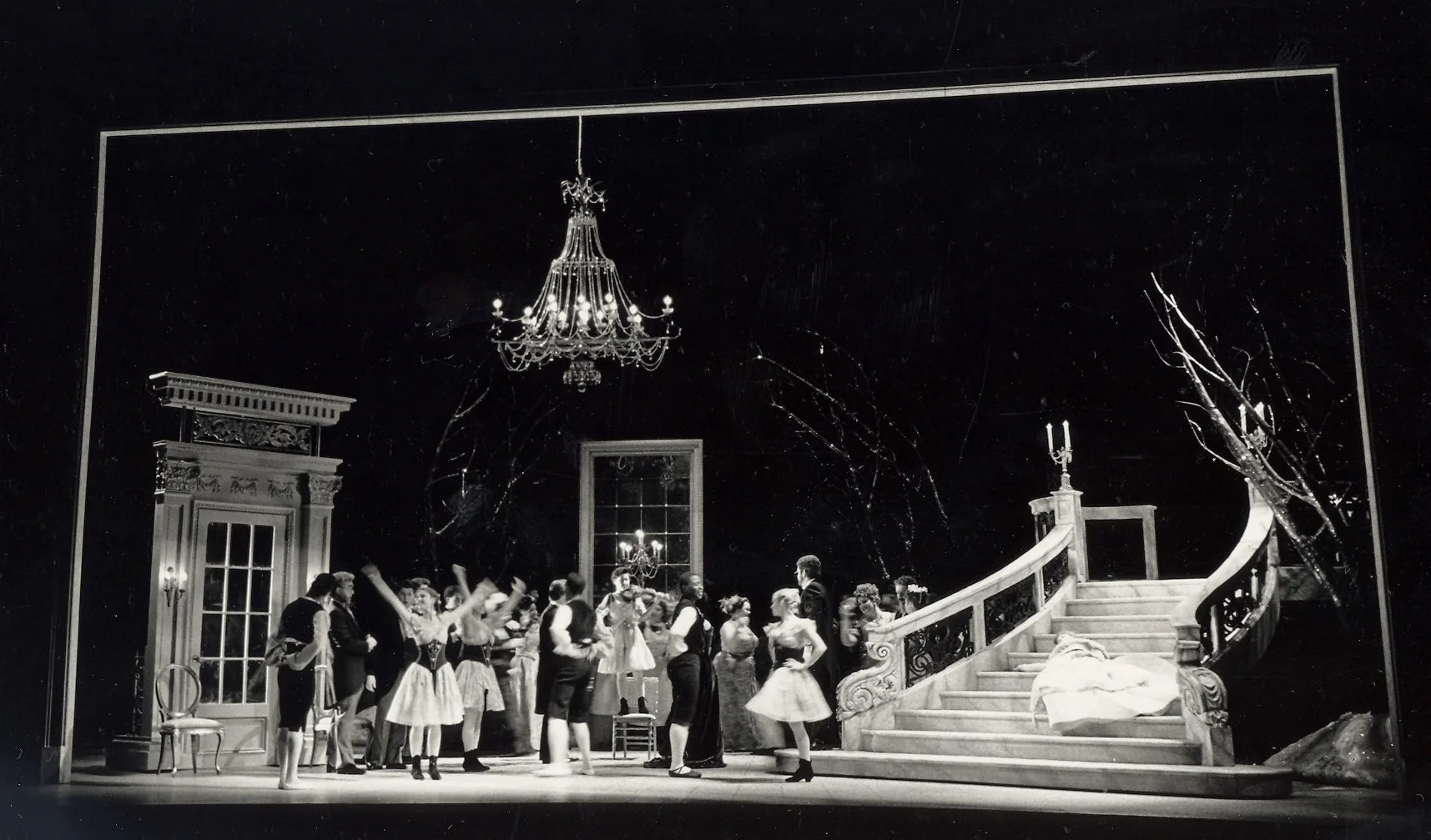 Fledermaus - 2.jpg