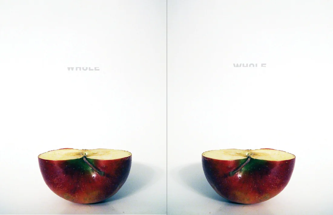 Front and Back Covers