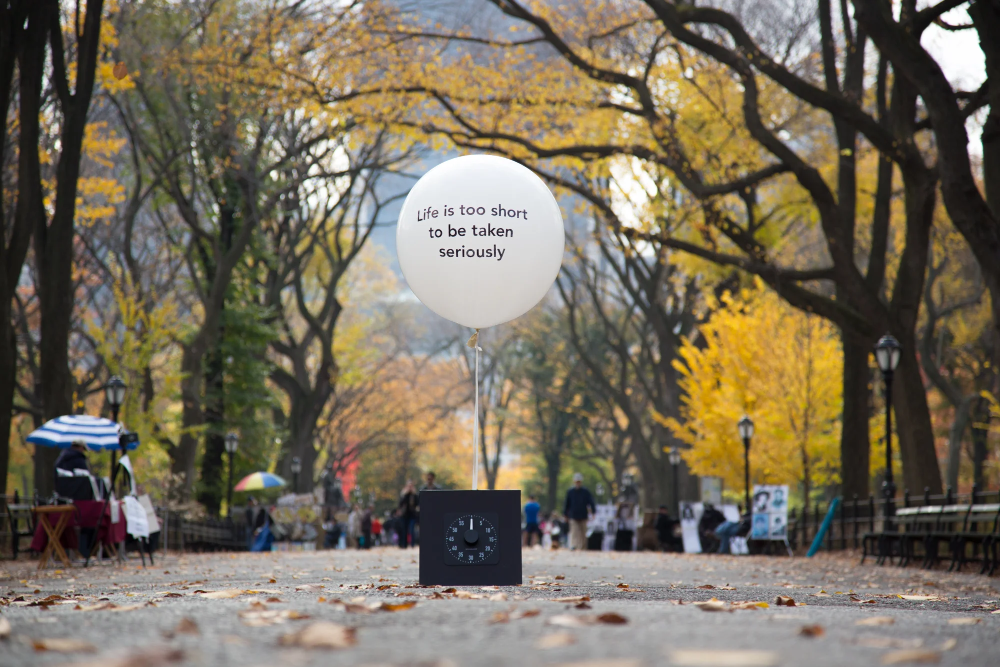 BalloonWeb-10.jpg