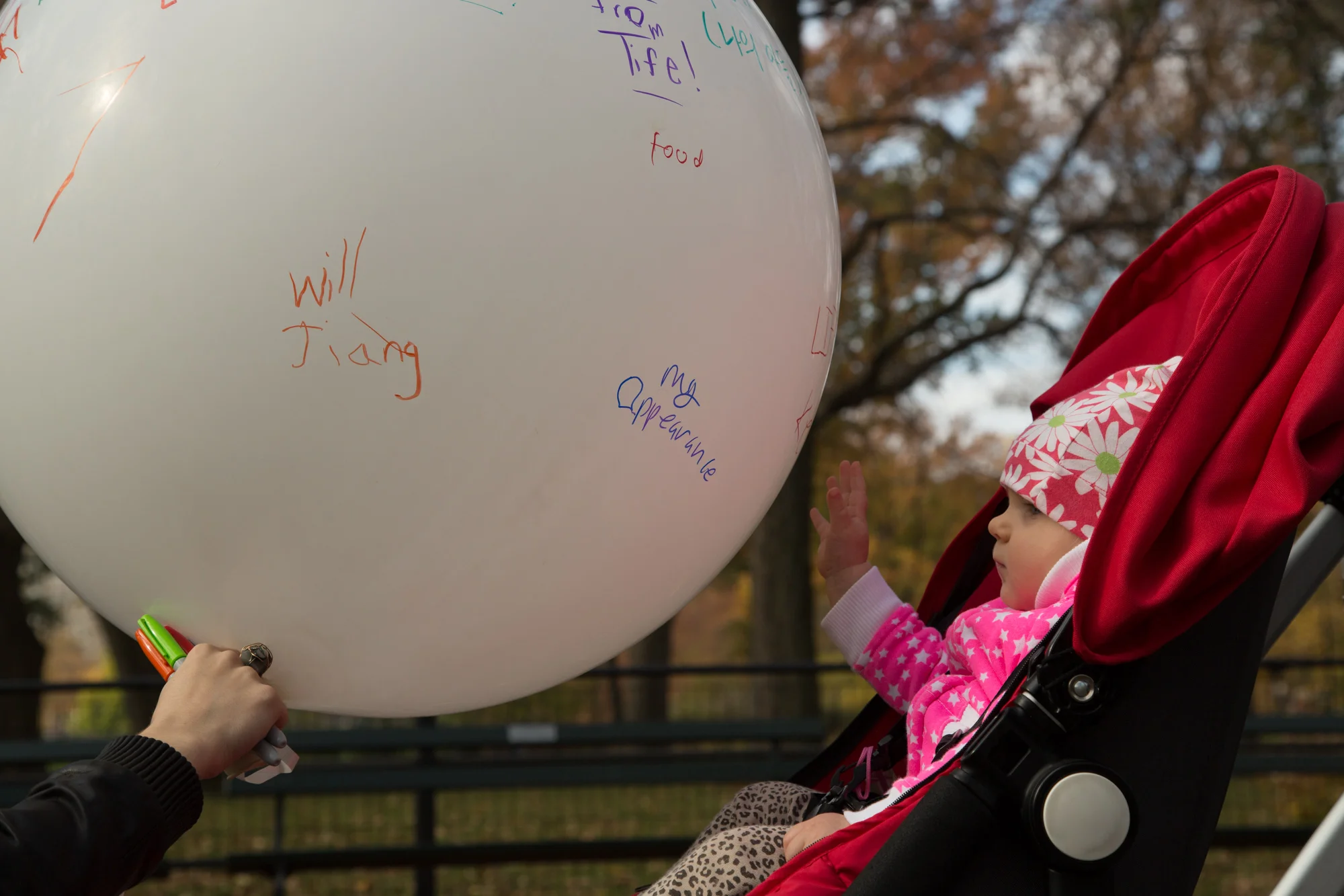 BalloonWeb-22.jpg