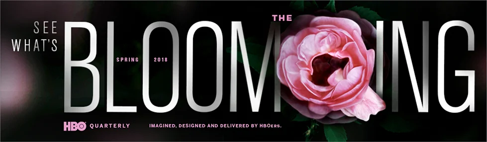 Web Banner