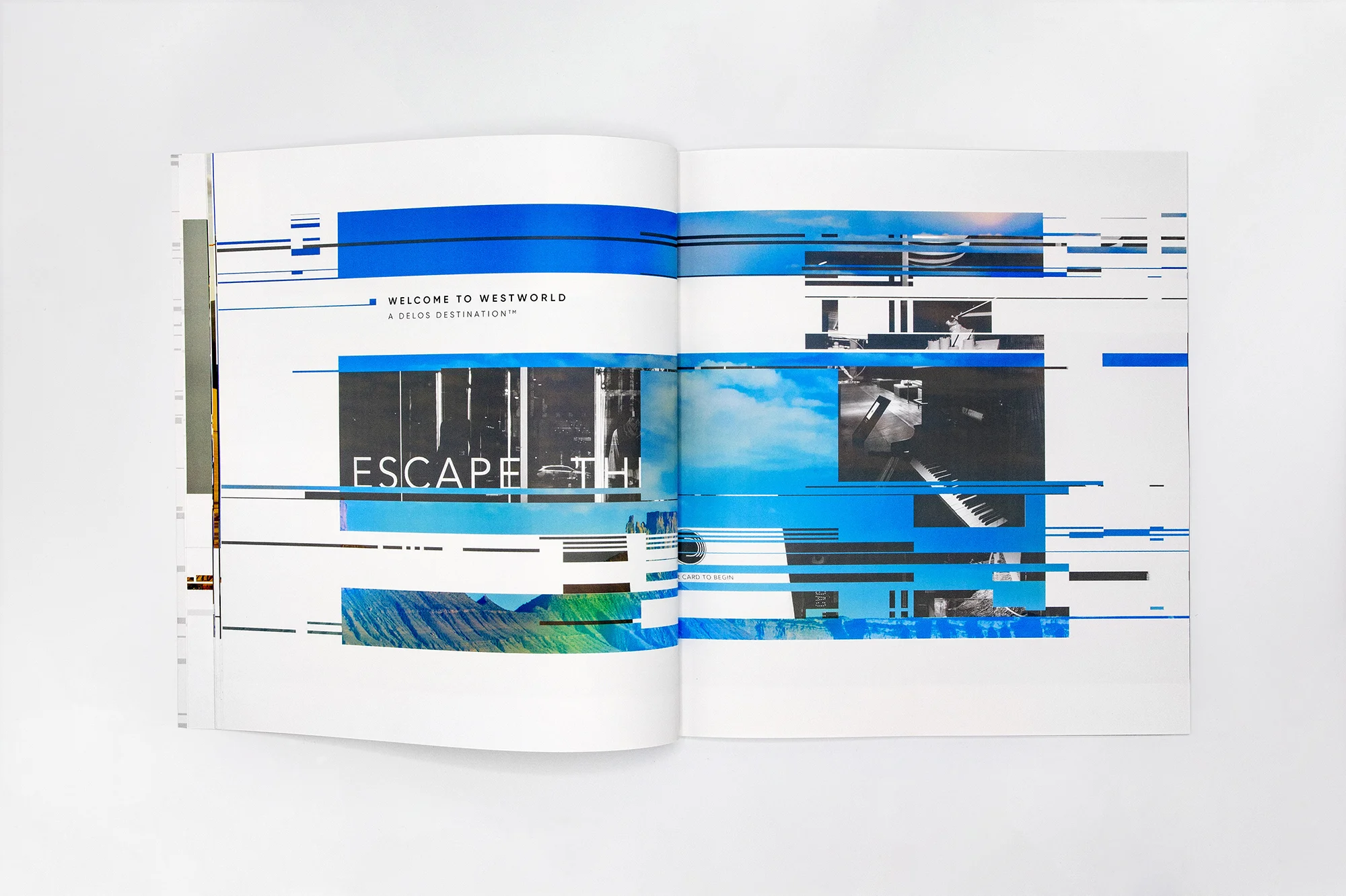 WWBook_02.jpg