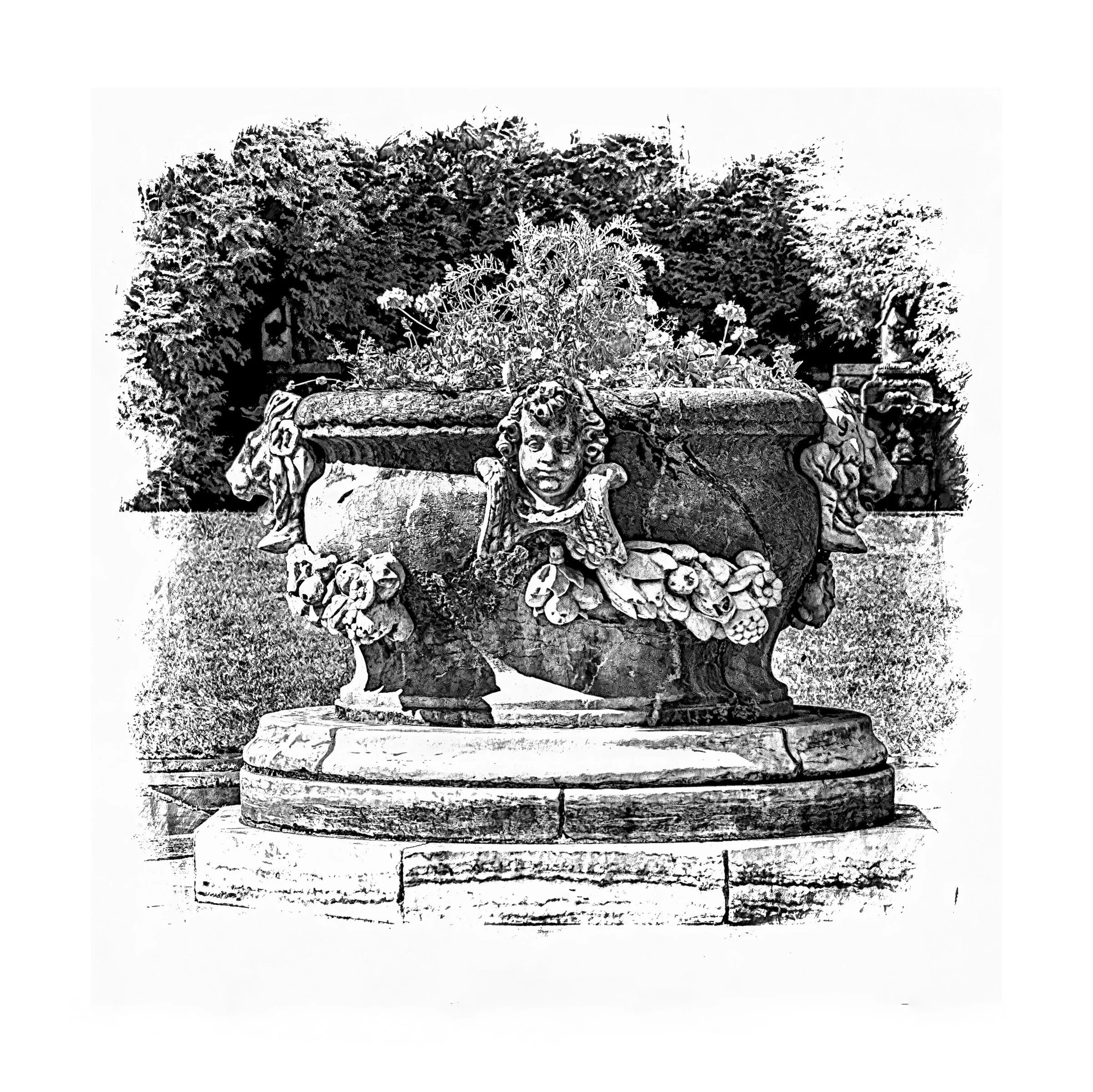 Annual Garden