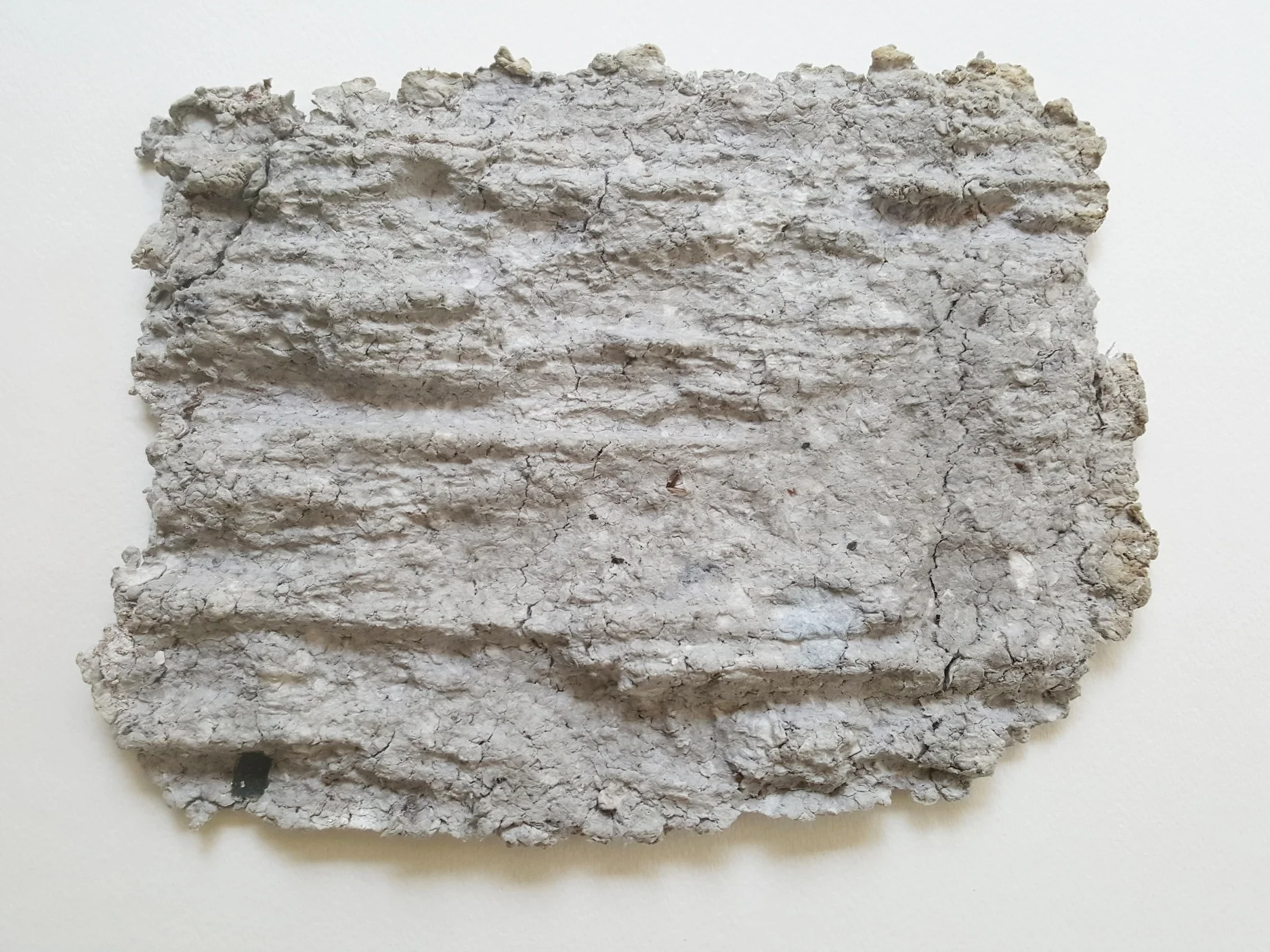 Reap 1 8"x10" Cast paper, acrylic, charcoal