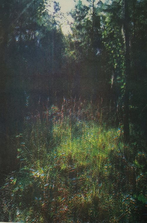 Meadow, 2016