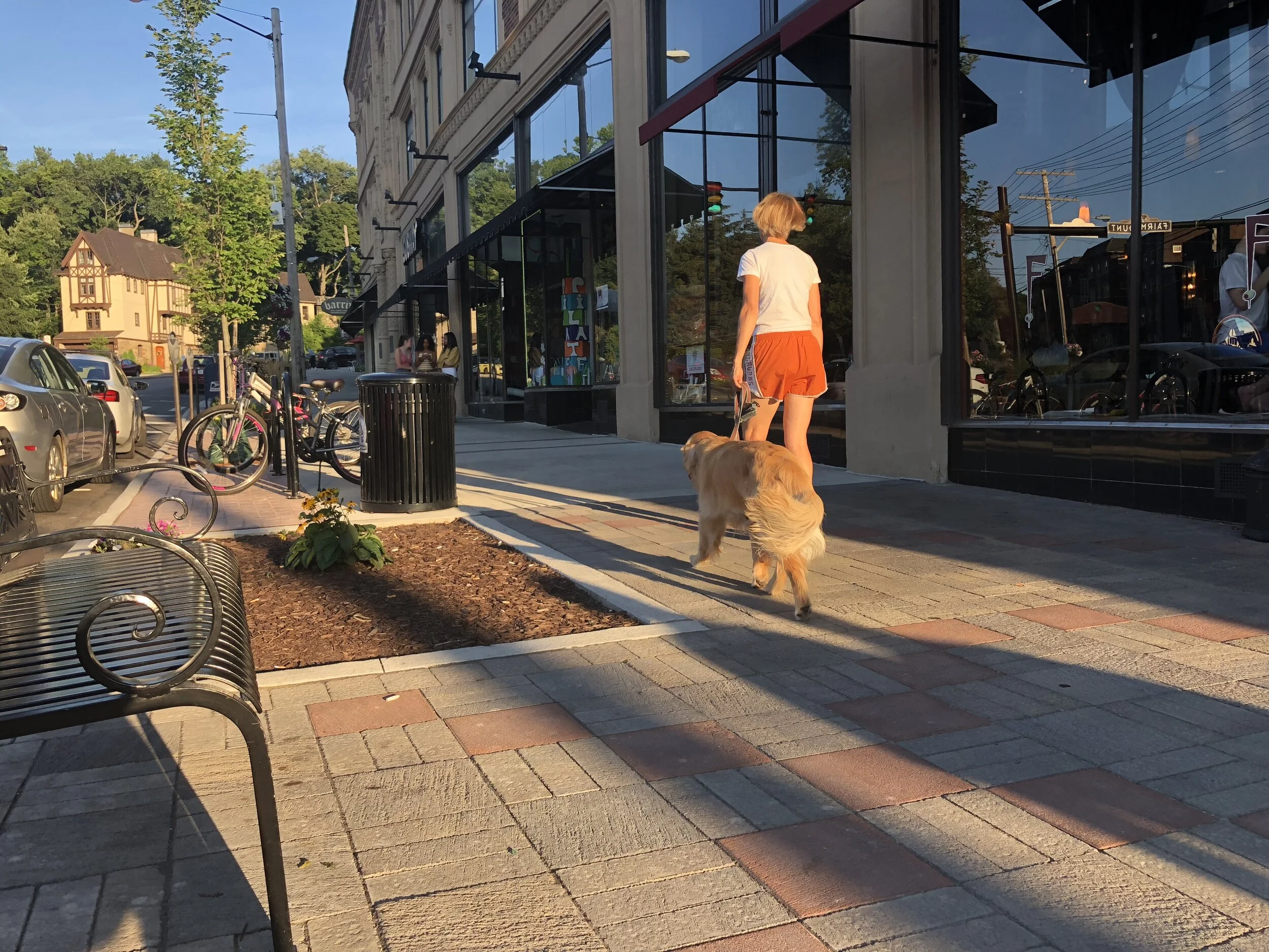 Cedar Fairmount Dog Walker.JPG