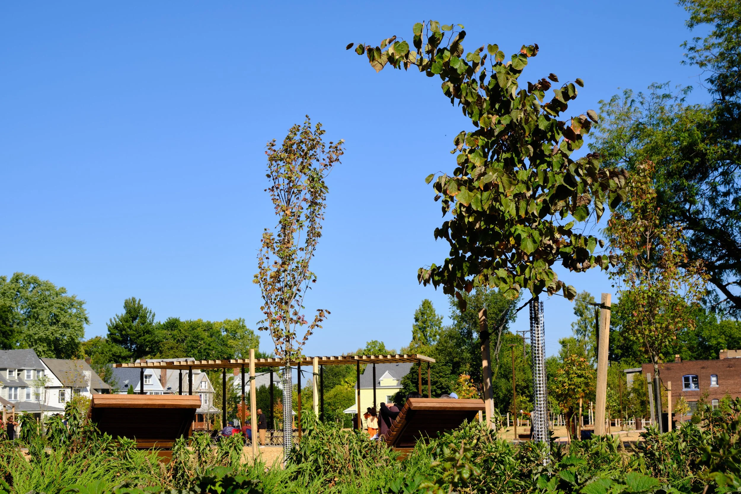 D kendrick C Photography (6).jpg