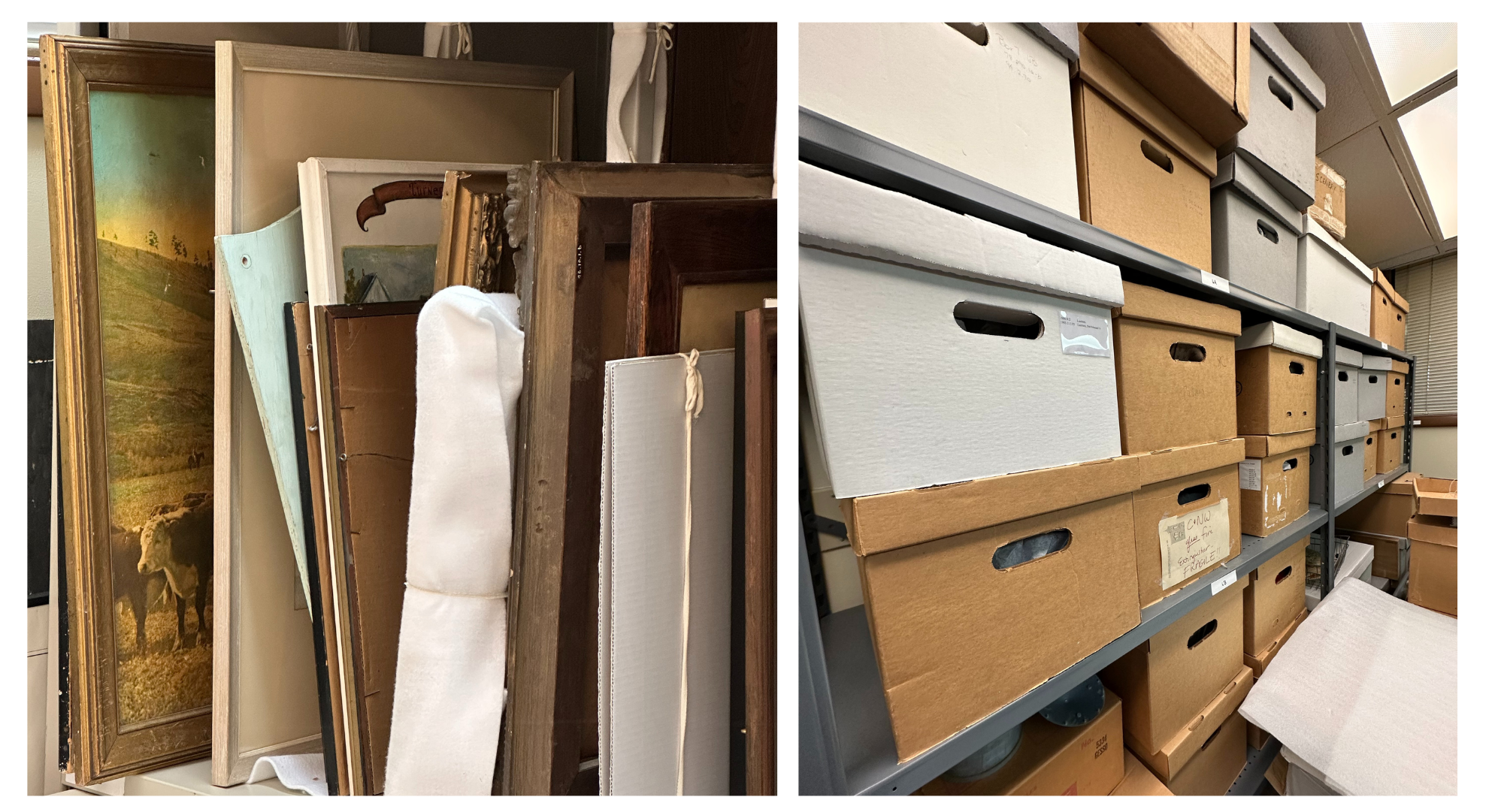 Museum Mondays: The Collections Department Unveiled — West Chicago History