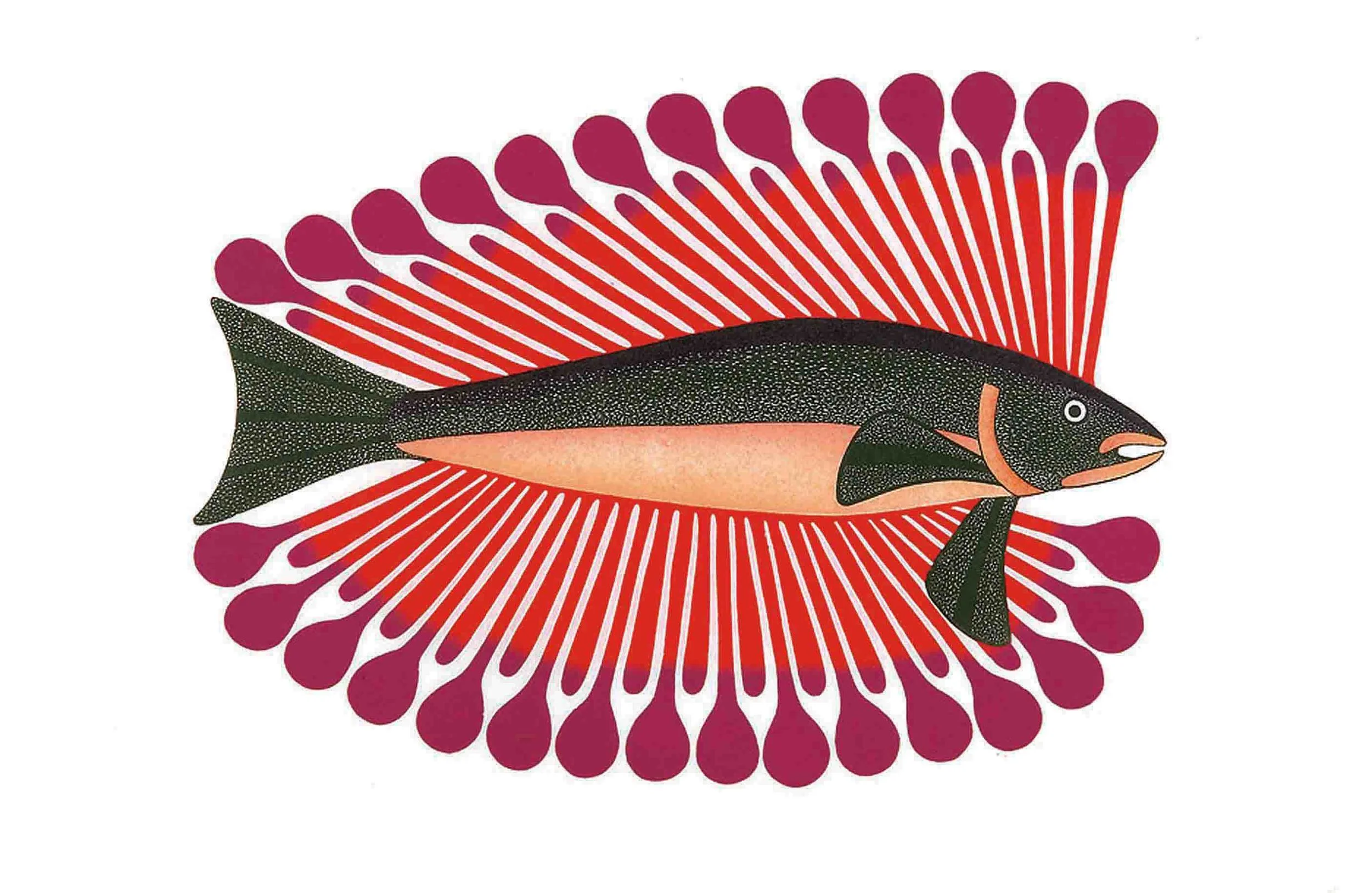 KENOJUAK ASHEVAK