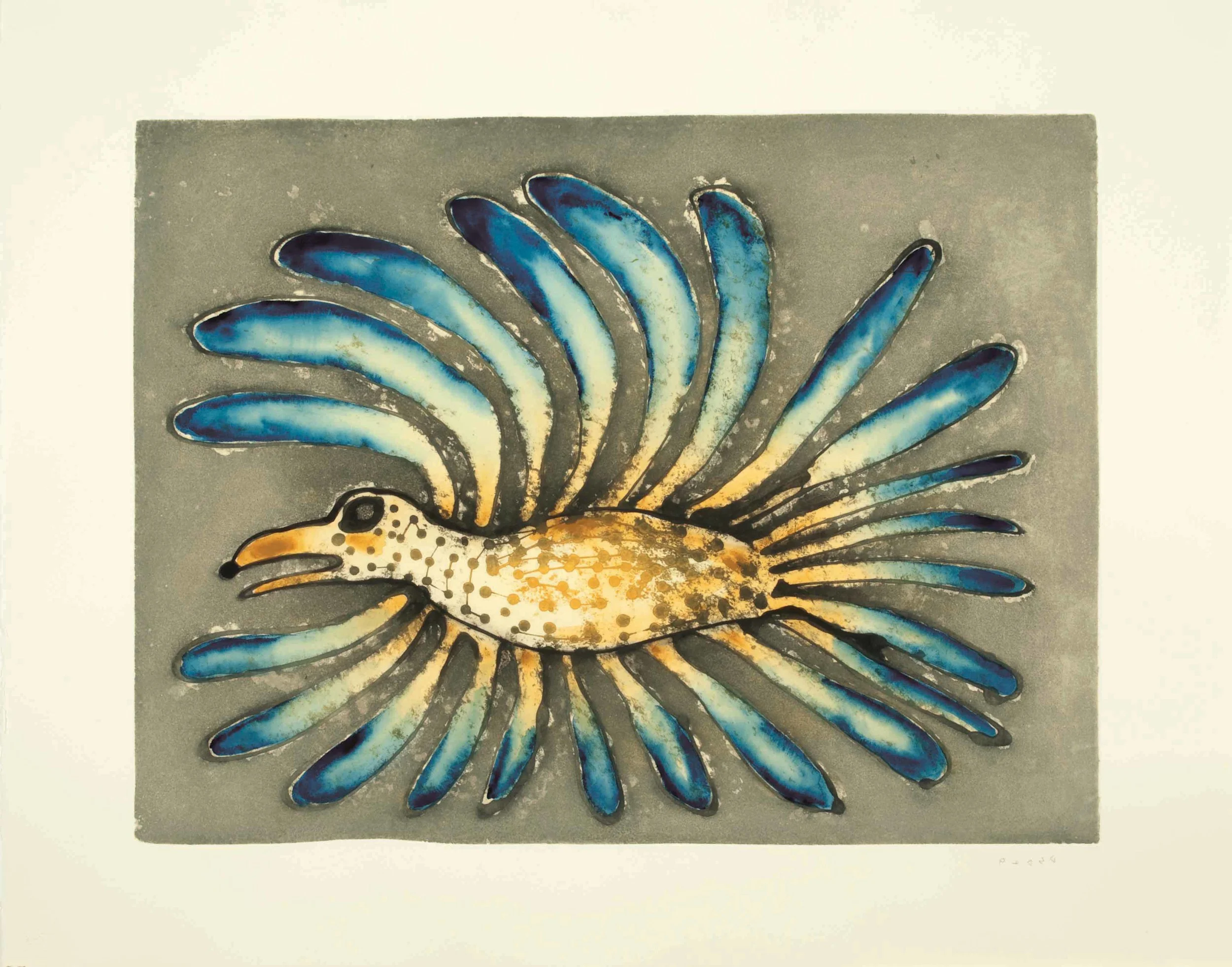 KENOJUAK ASHEVAK