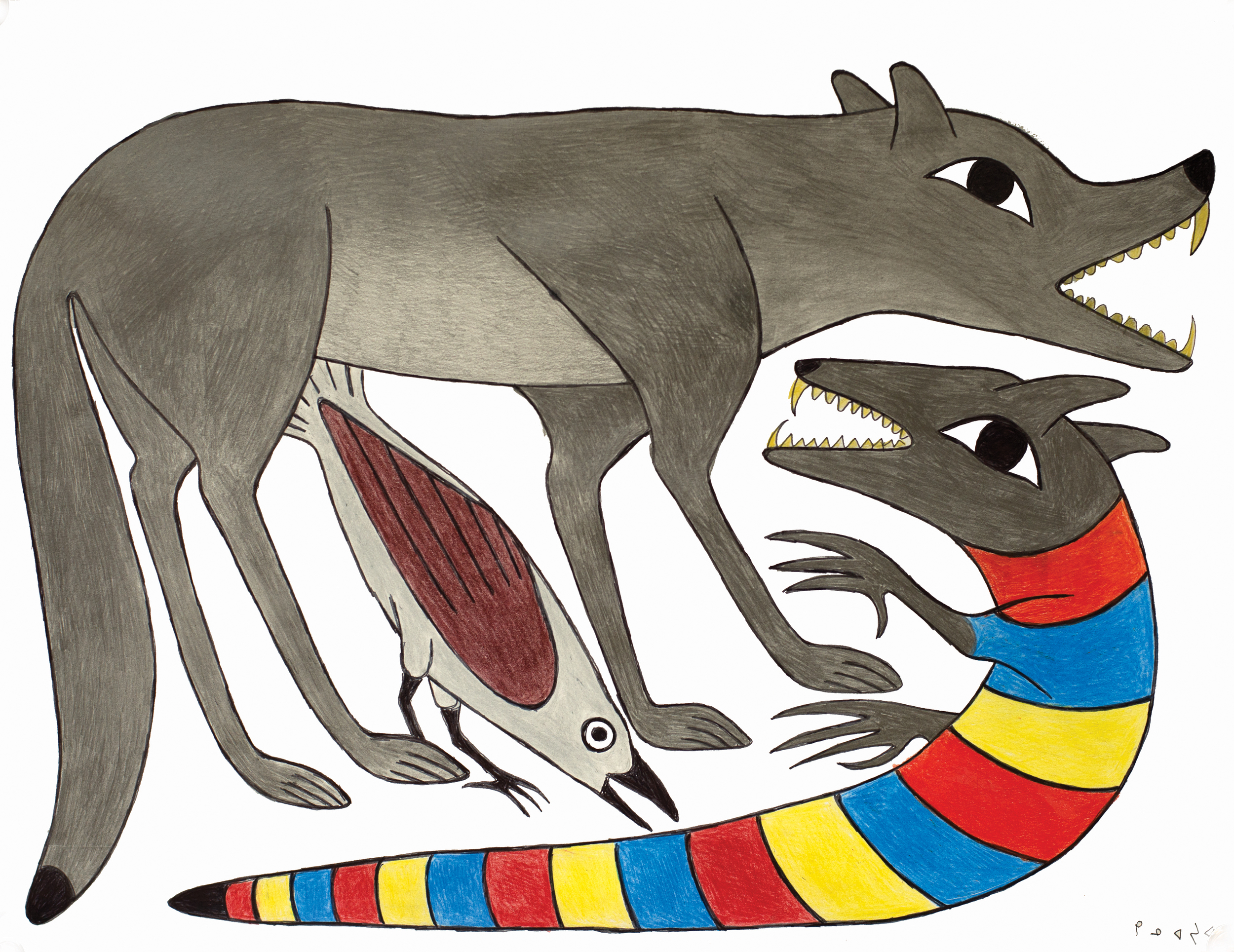 KENOJUAK ASHEVAK