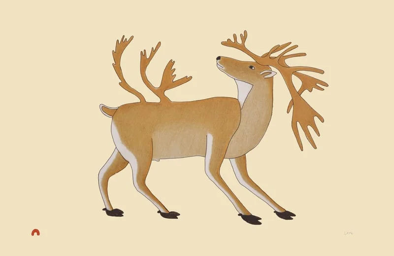 Dorset ID# 15-21