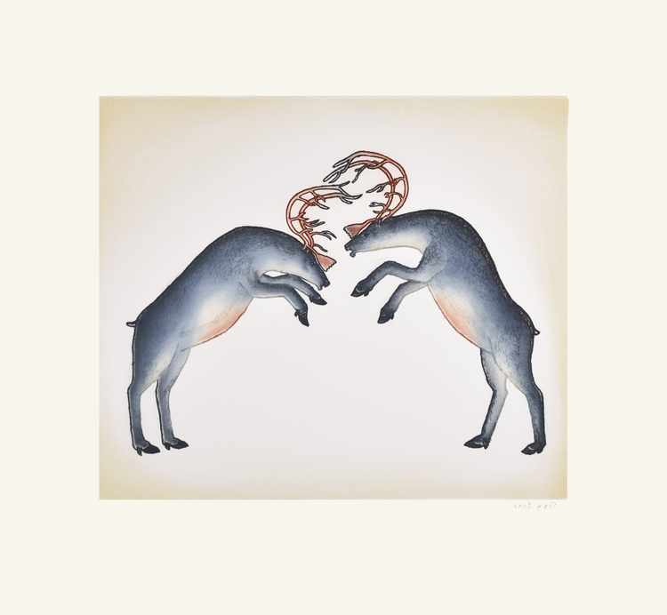 PITSEOLAK NIVIAQSI Rutting Caribou Etching & Aquatint 2016 60.5 x 65.5 cm $ 700 Dorset ID#: 16-15