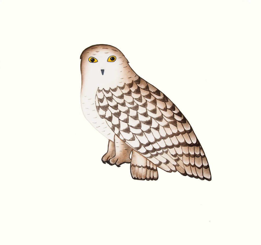 PAUOJOUNGIE SAGGIAK Noble Owl Etching, Aquatint & Hand Painting 67 x 69.5 cm $700 Dorset ID#18-11