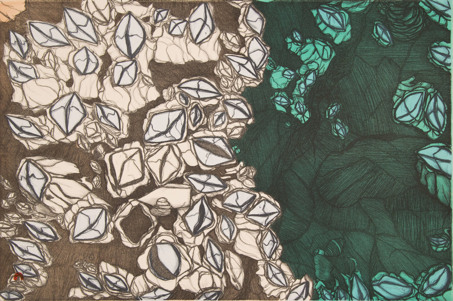 PADLOO SAMAYUALIE Barnacles Lithograph 38 x 56.5 cm $600 Dorset ID#18-28