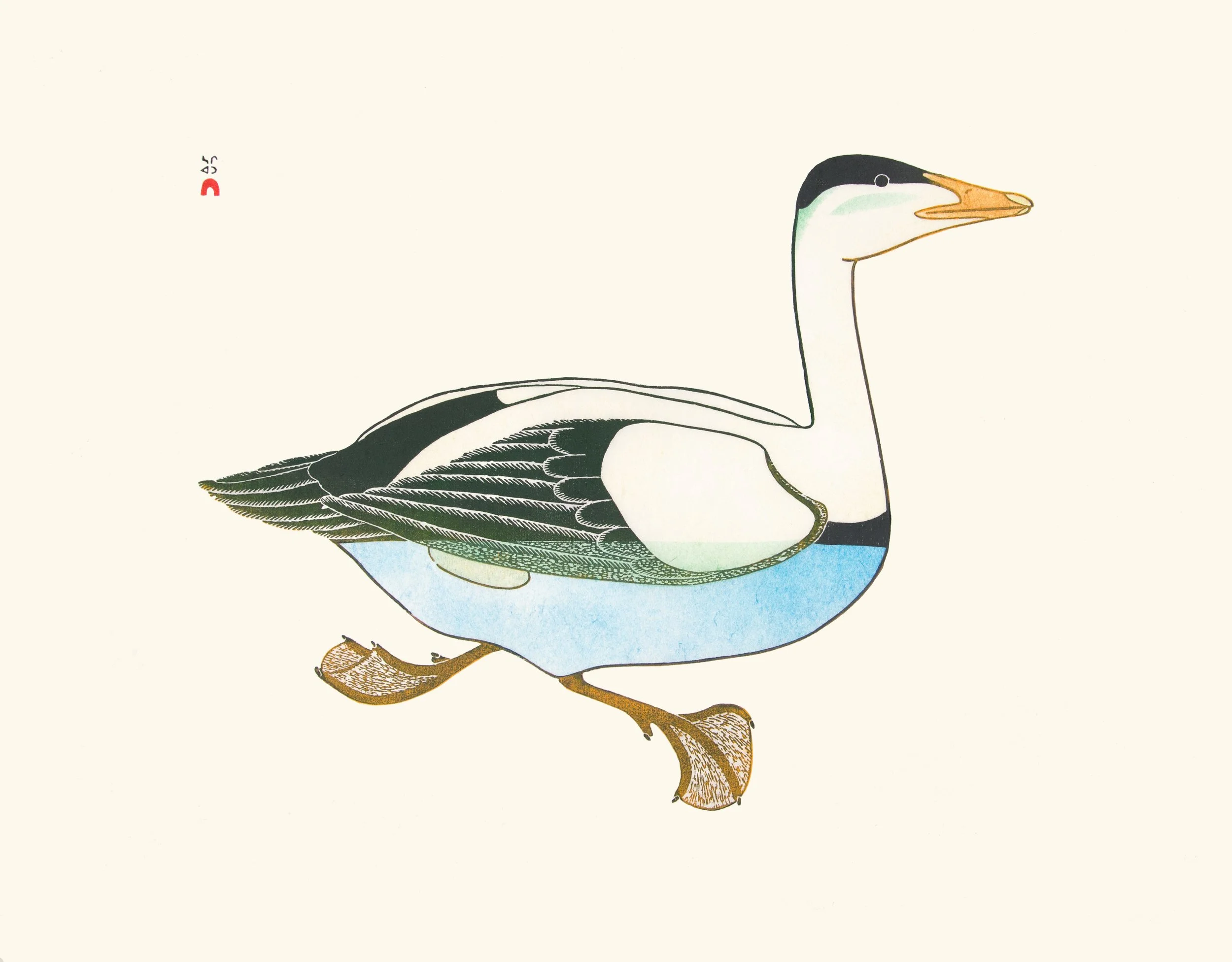amauliq (1 of 1).jpeg