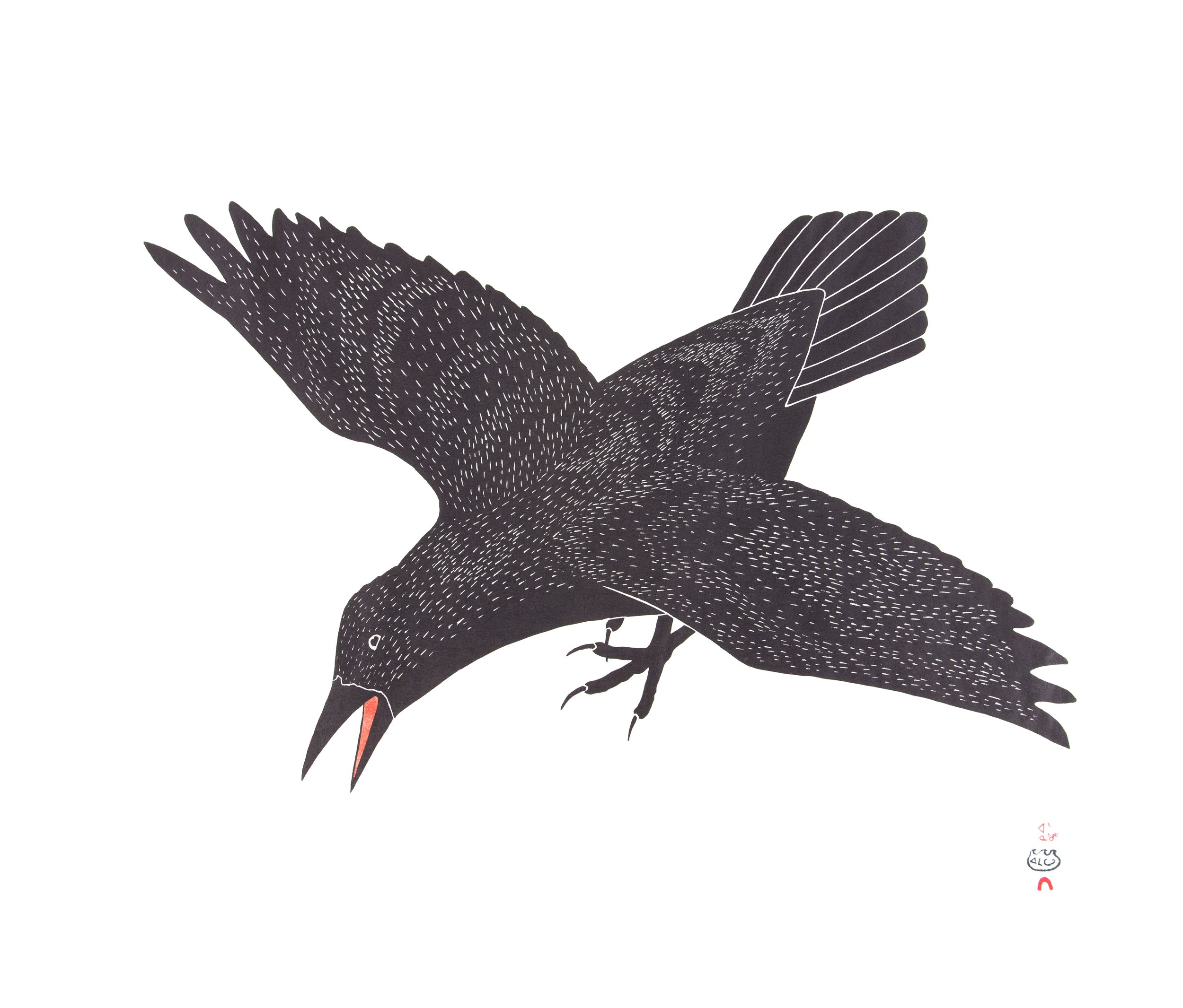 raven (1 of 1).jpeg