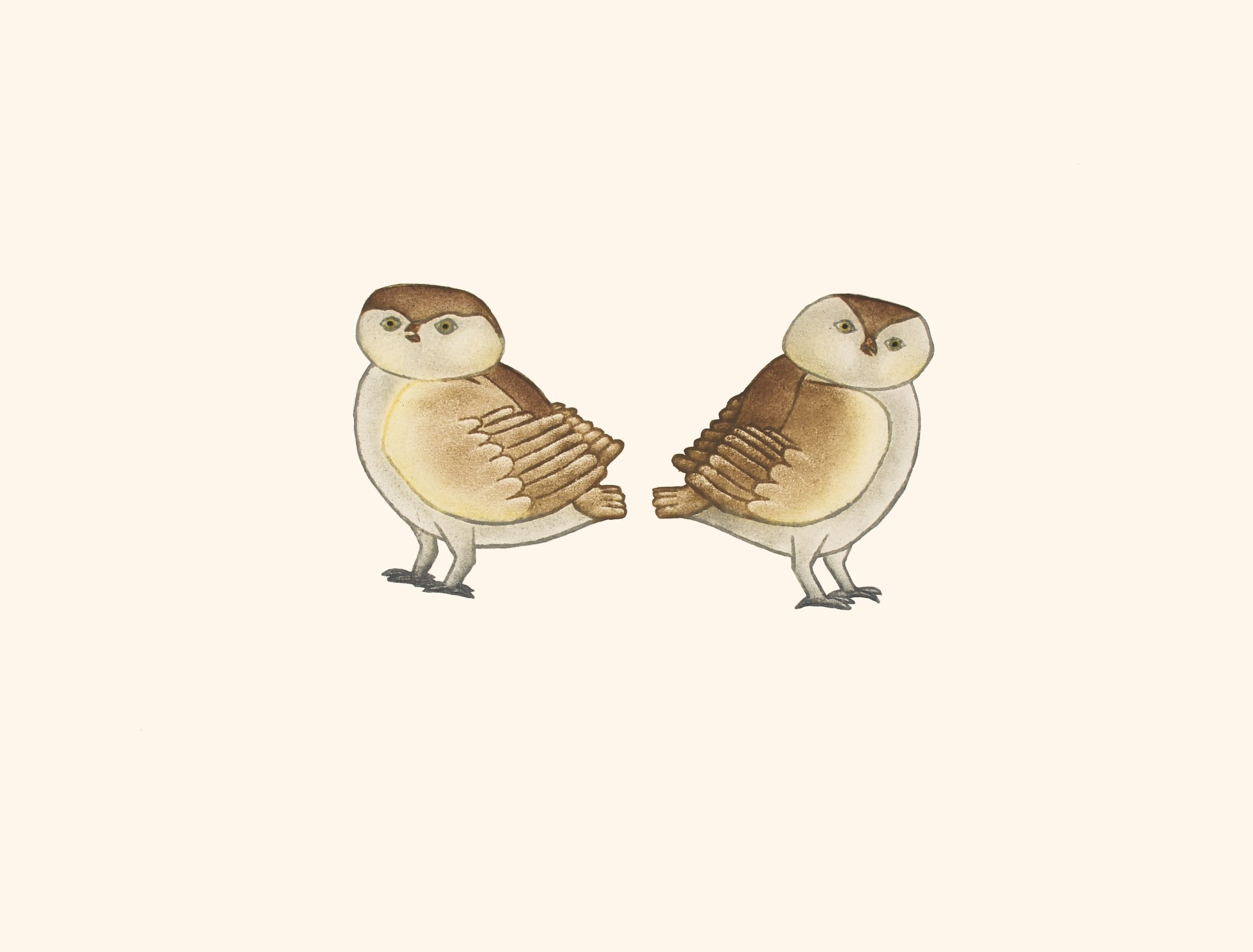 KILLIKTEE KILLIKTEE 24. Owlettes Etching & Aquatint Paper: Arches White Printer: Studio PM 29.3 x 38.3 cm $ 500