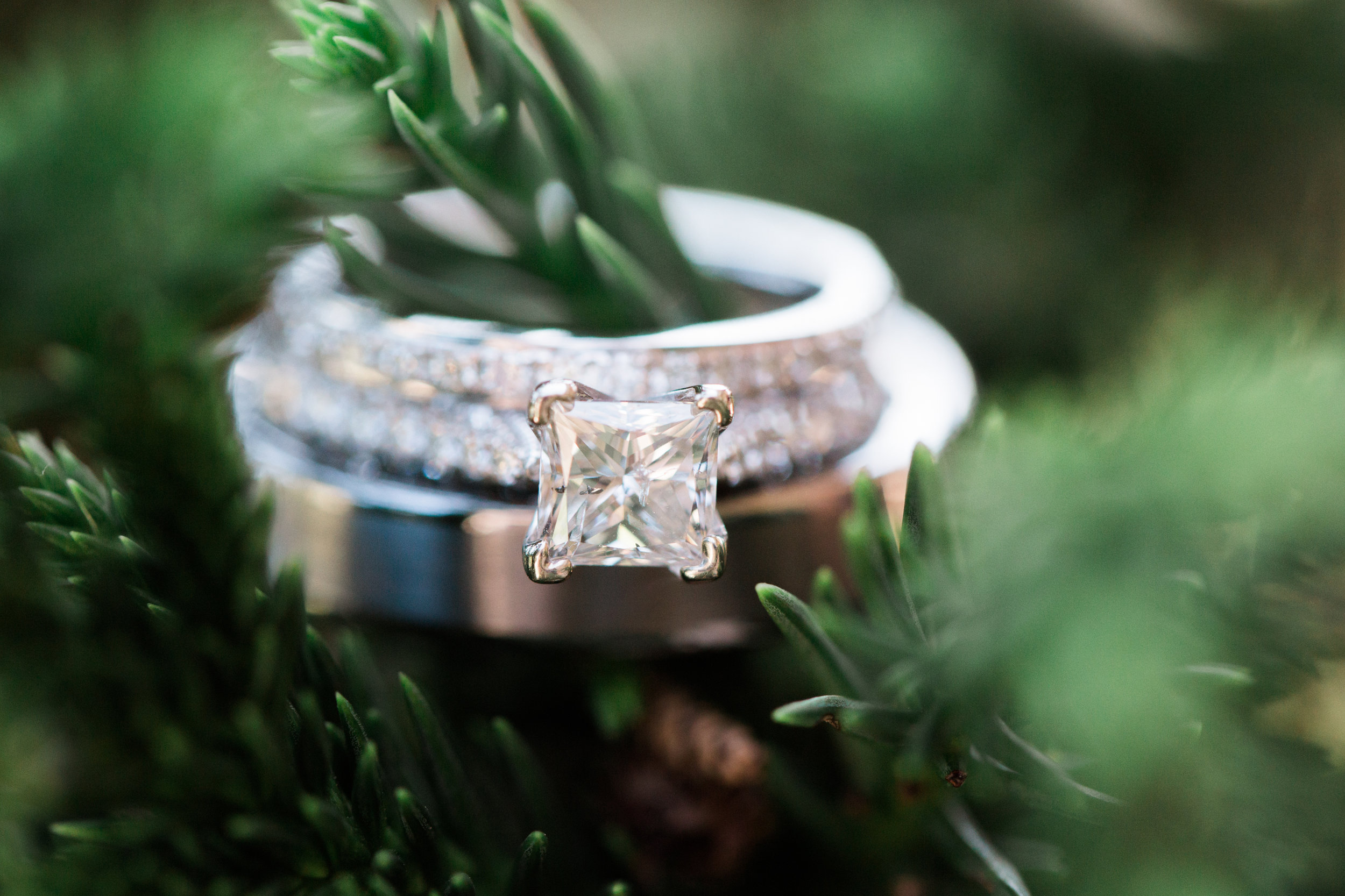 Wedding band and engagement ring on tree