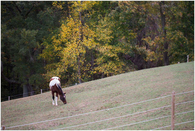 bethany-grace-photography-virginia-maryland-wedding-photographer-farm-rustic-outdoor-fall-gold-burgundy-yellow-diy-8.JPG